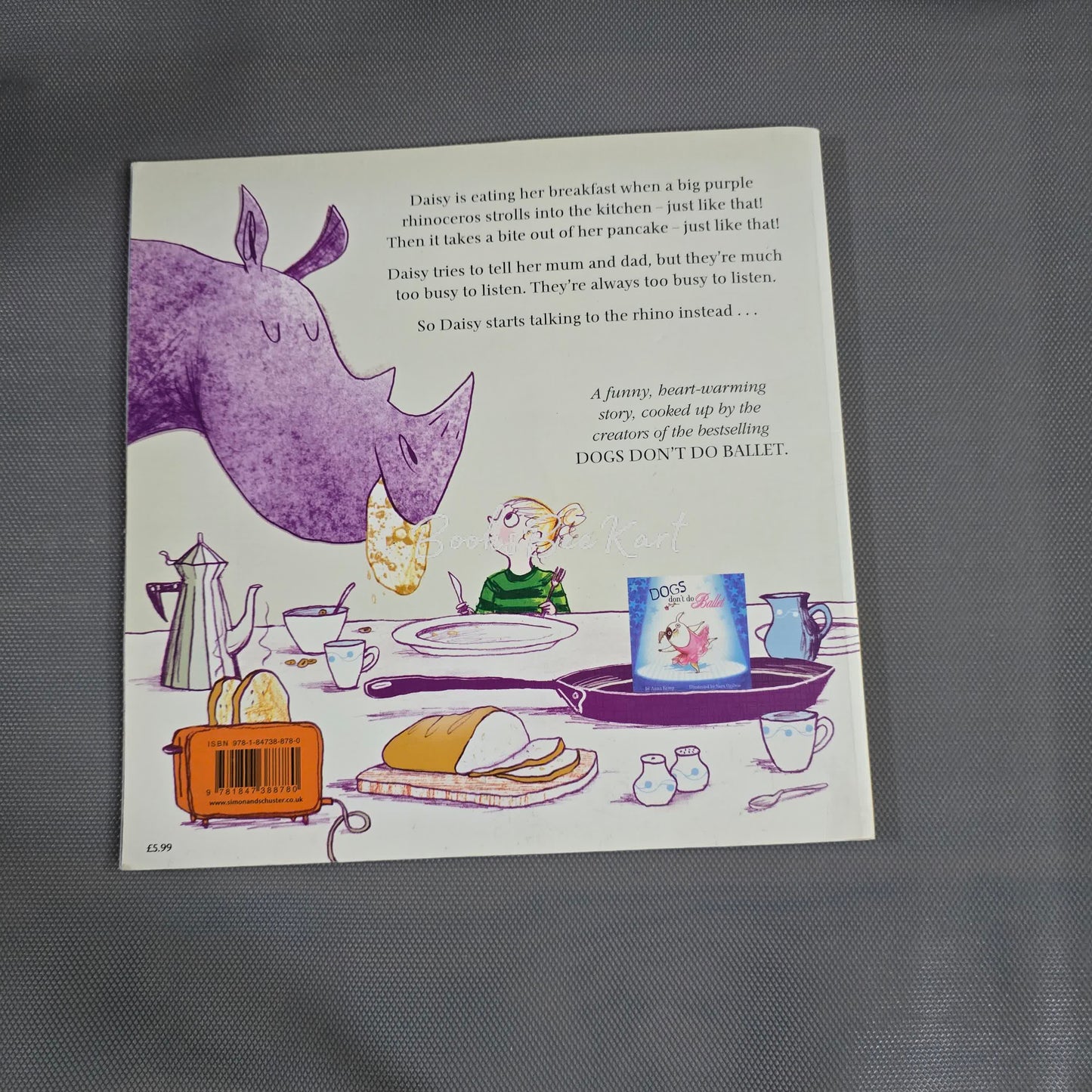 Rhinos Don't eat pancakes