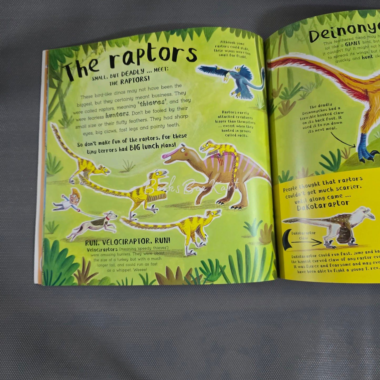 Do you love dinosaurs?