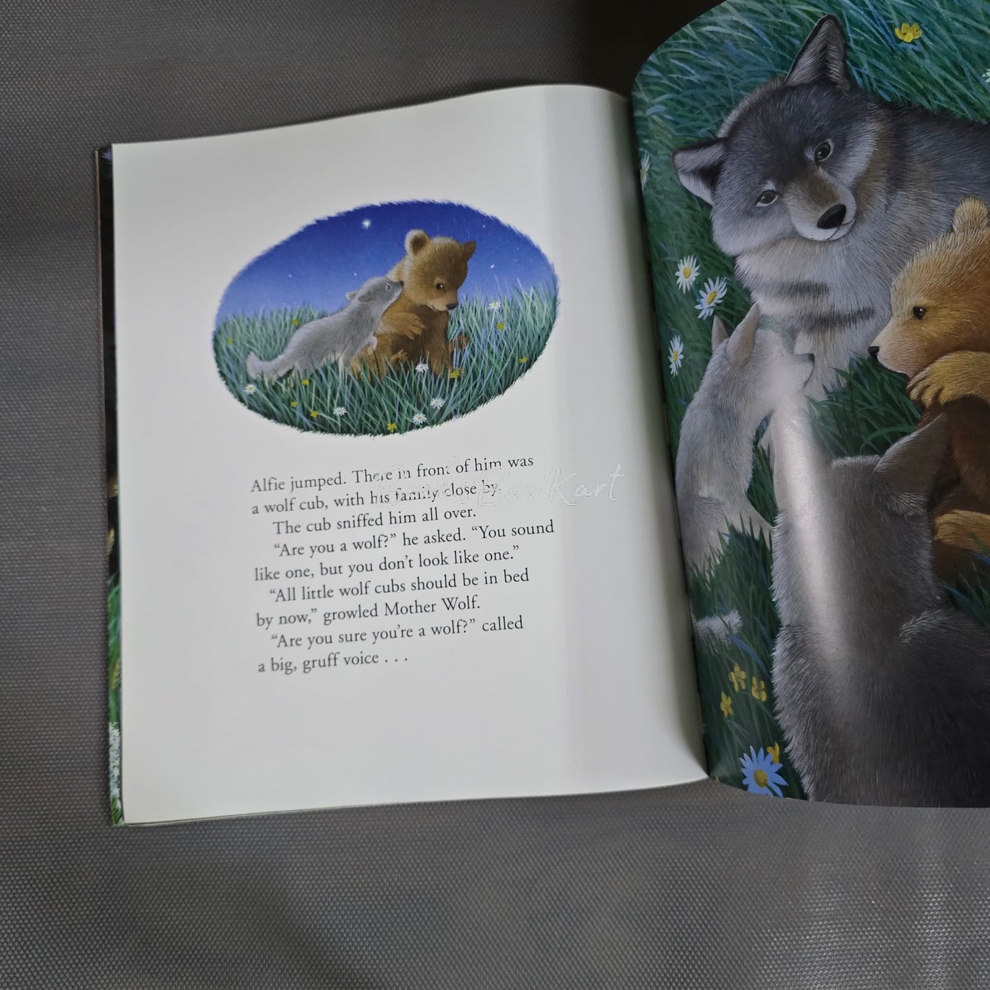 Time to sleep,Alfie bear!