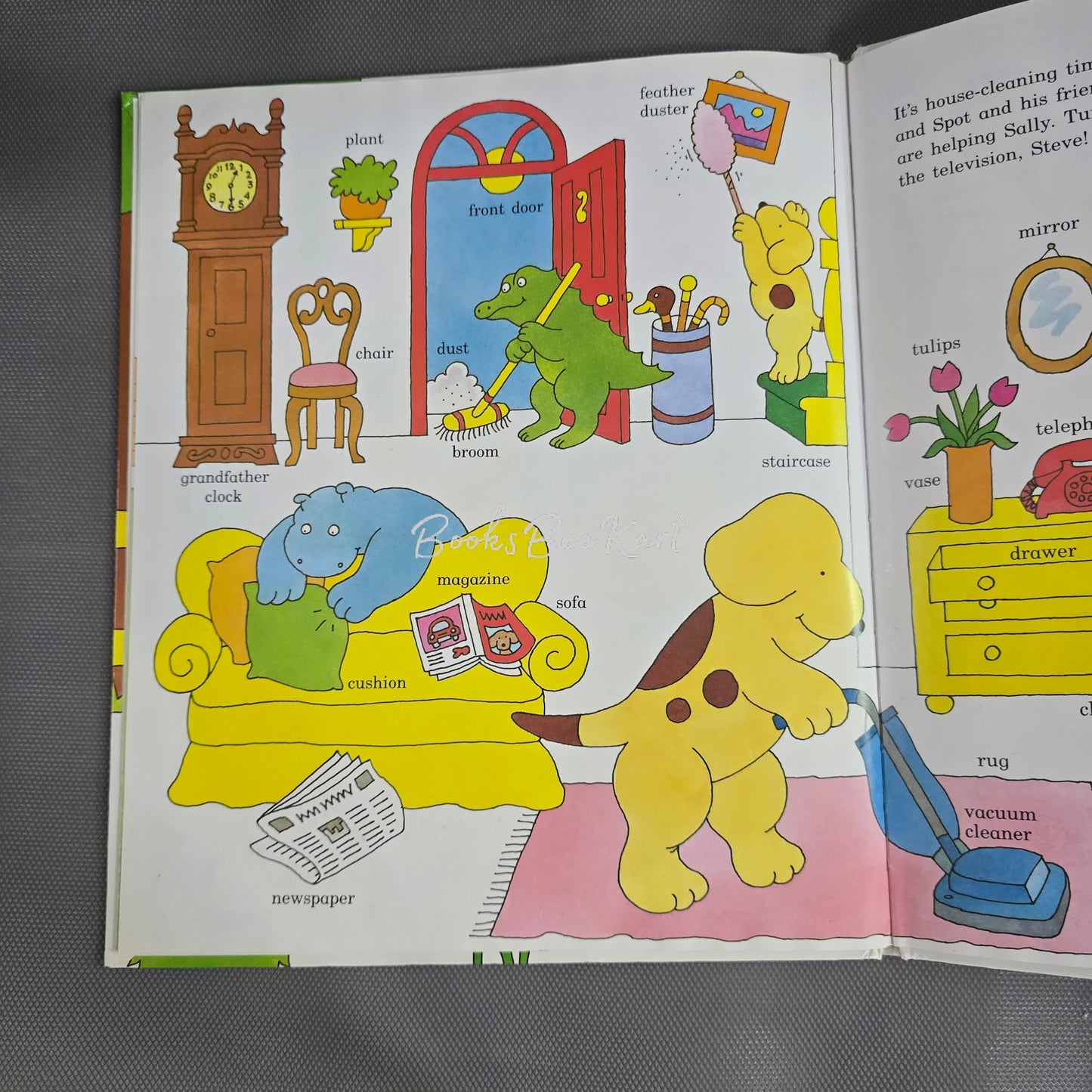 Spot's Big Book of Words