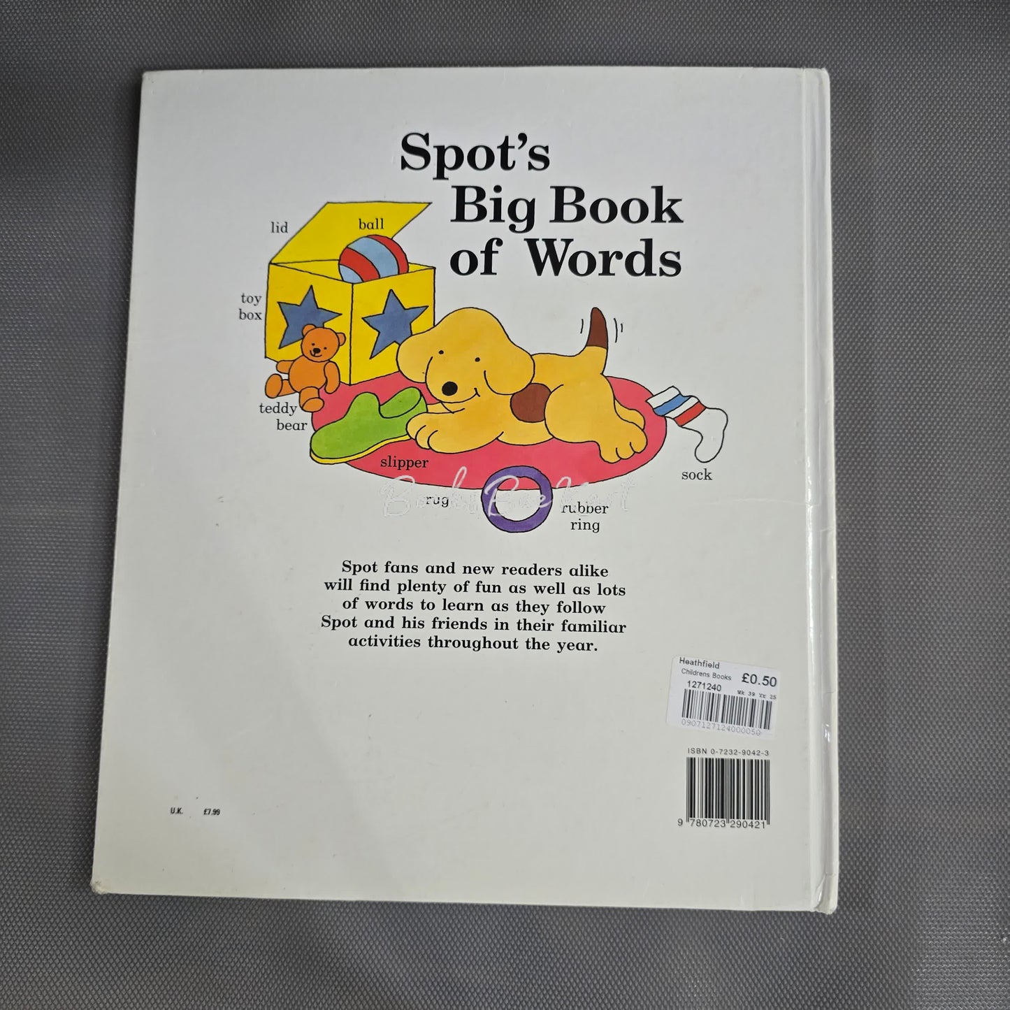 Spot's Big Book of Words