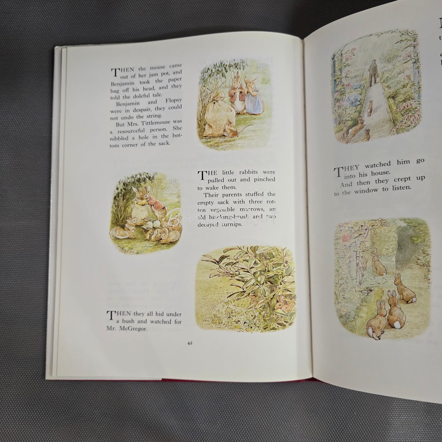 The Complete adventures of Peter Rabbit