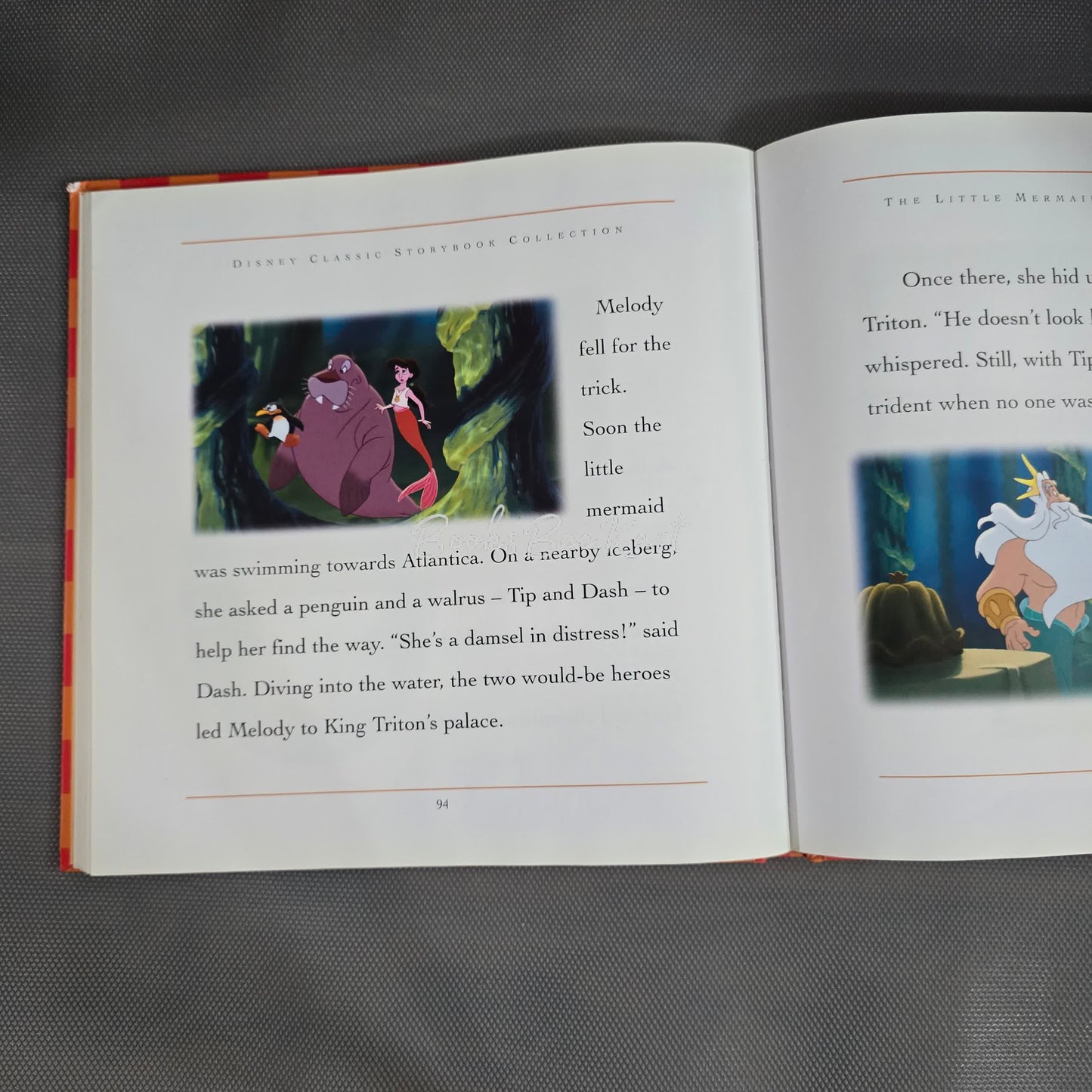 Jungle Storybook Collection