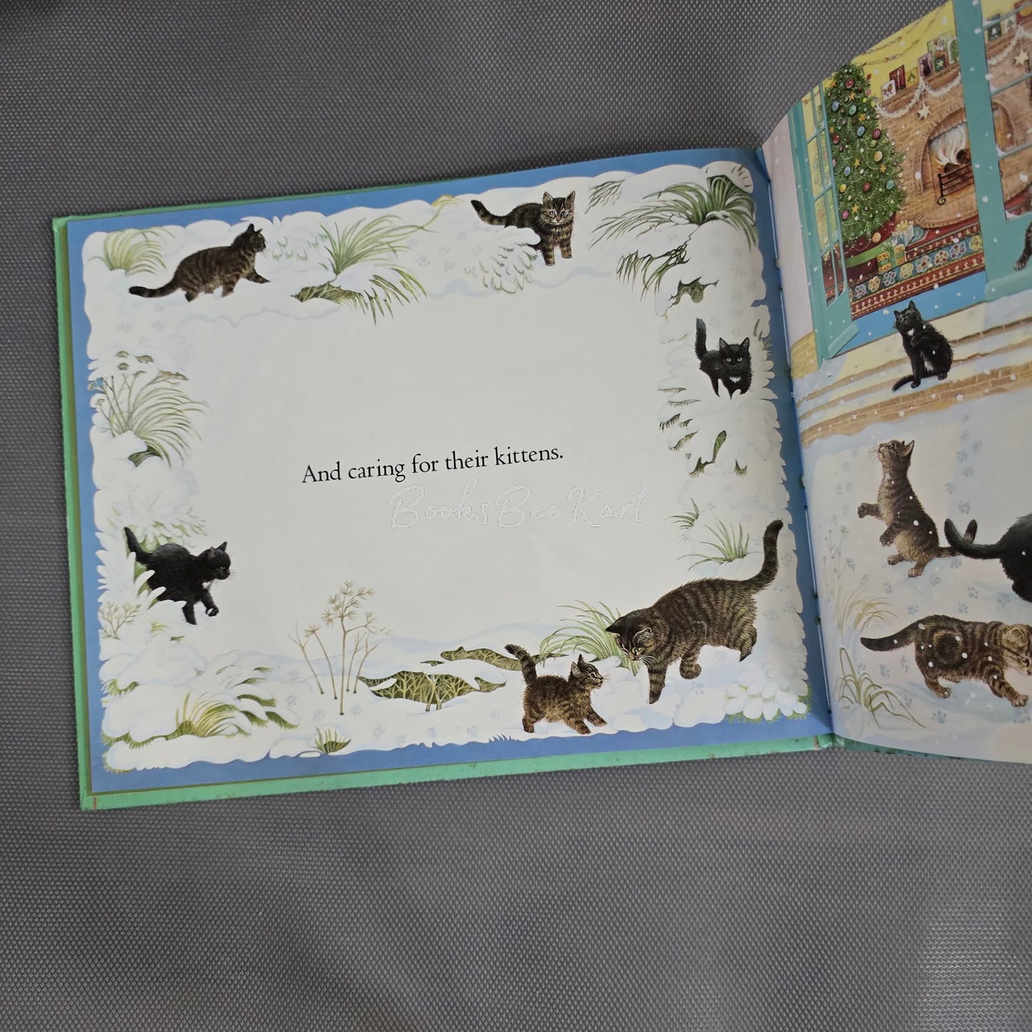 Cat Know best