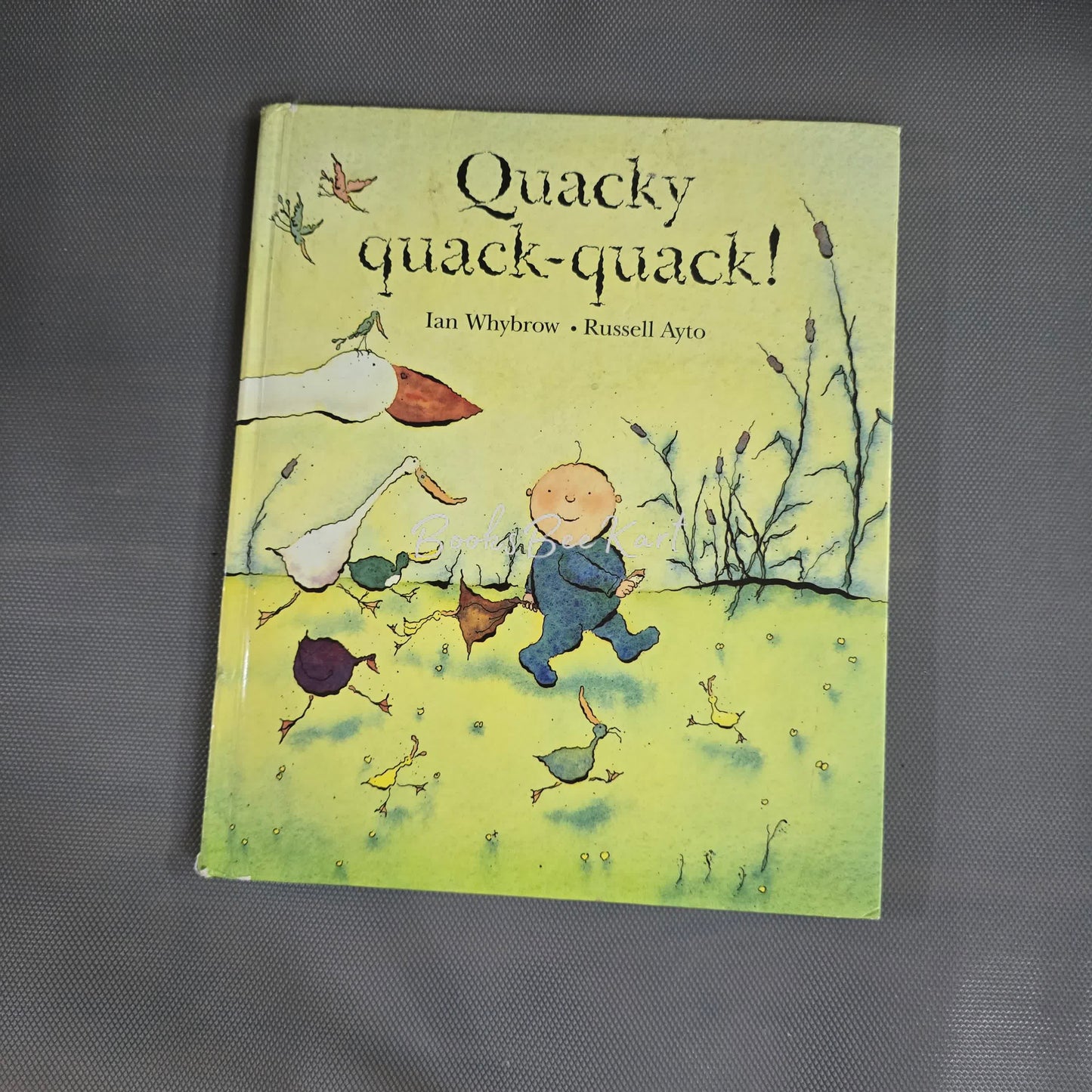 QuCKY QUACK-QUACK