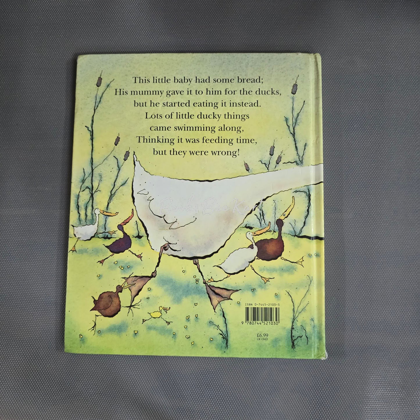 QuCKY QUACK-QUACK