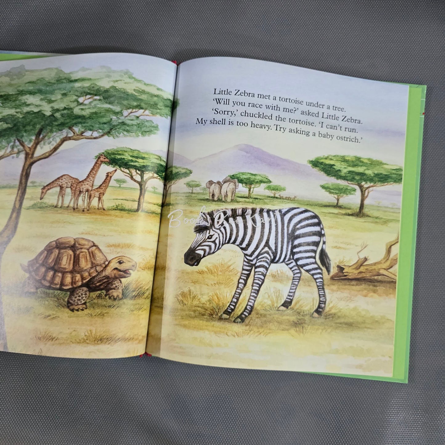 Keep Trying Little Zebra