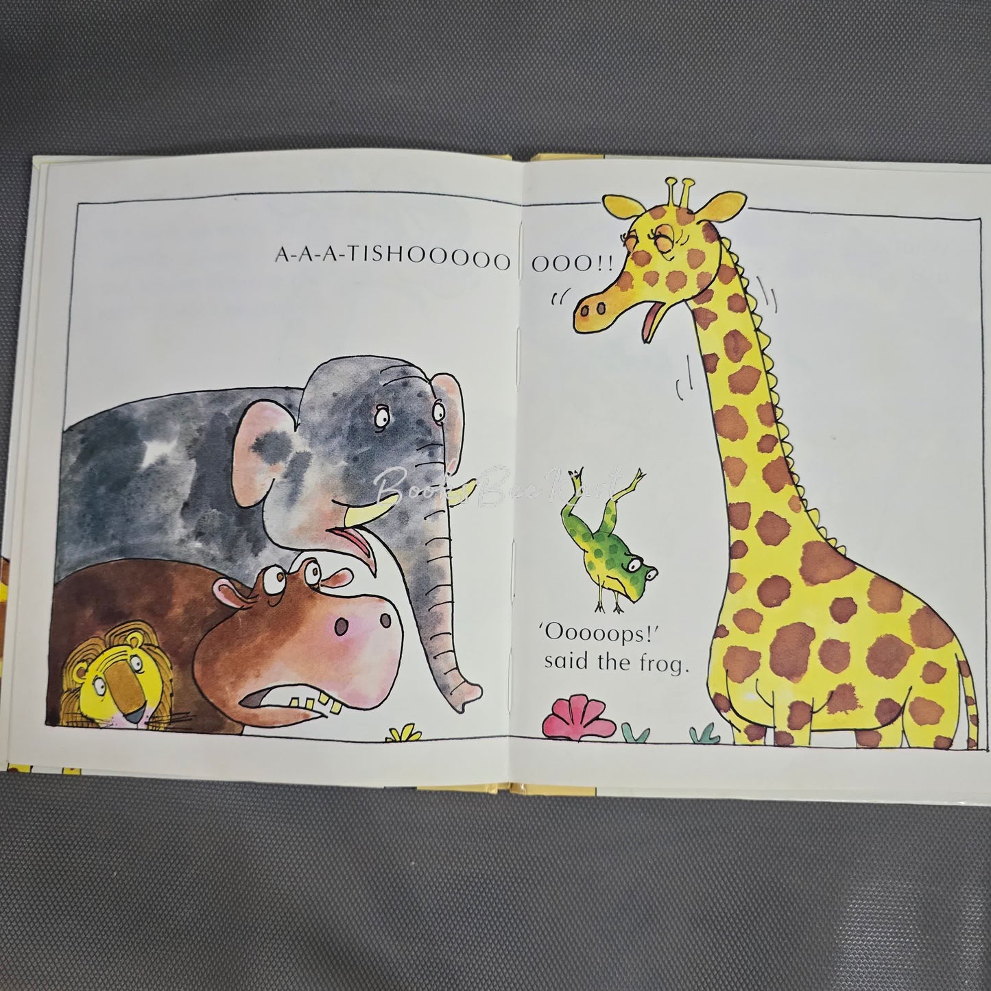 Pardon Said the Girafee