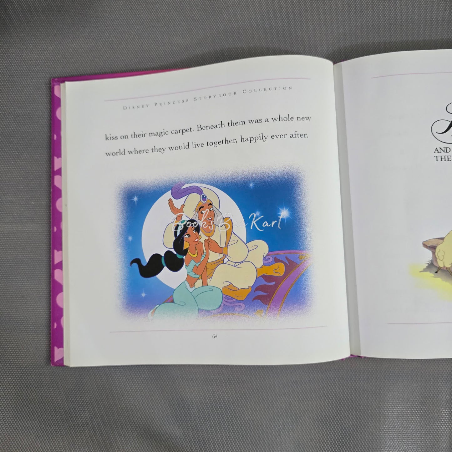 Disney Storybook Collection HC