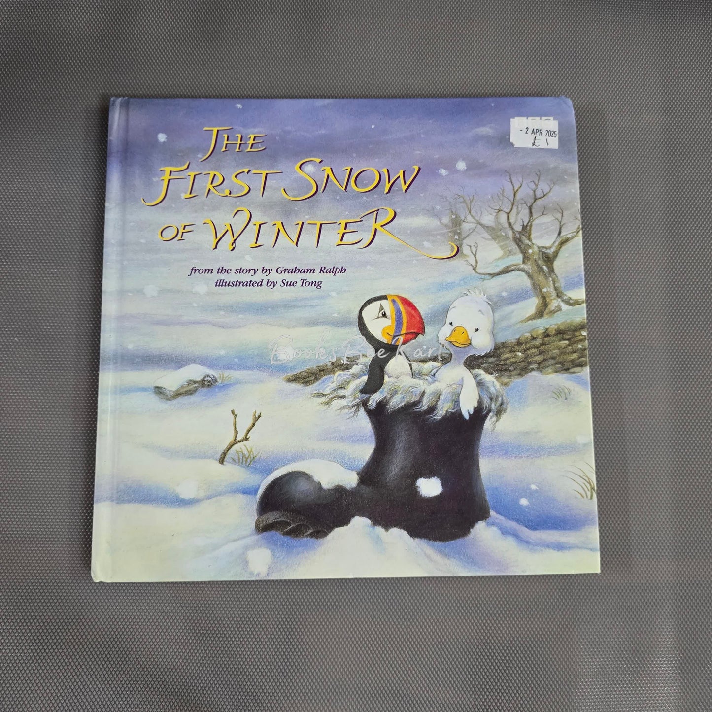 The First Snow Winter