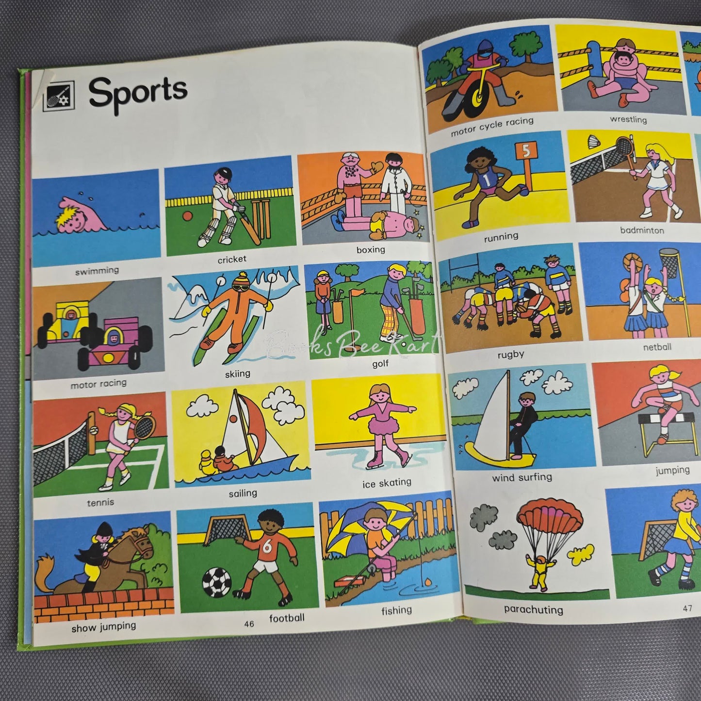 LAdyBird Picture Book