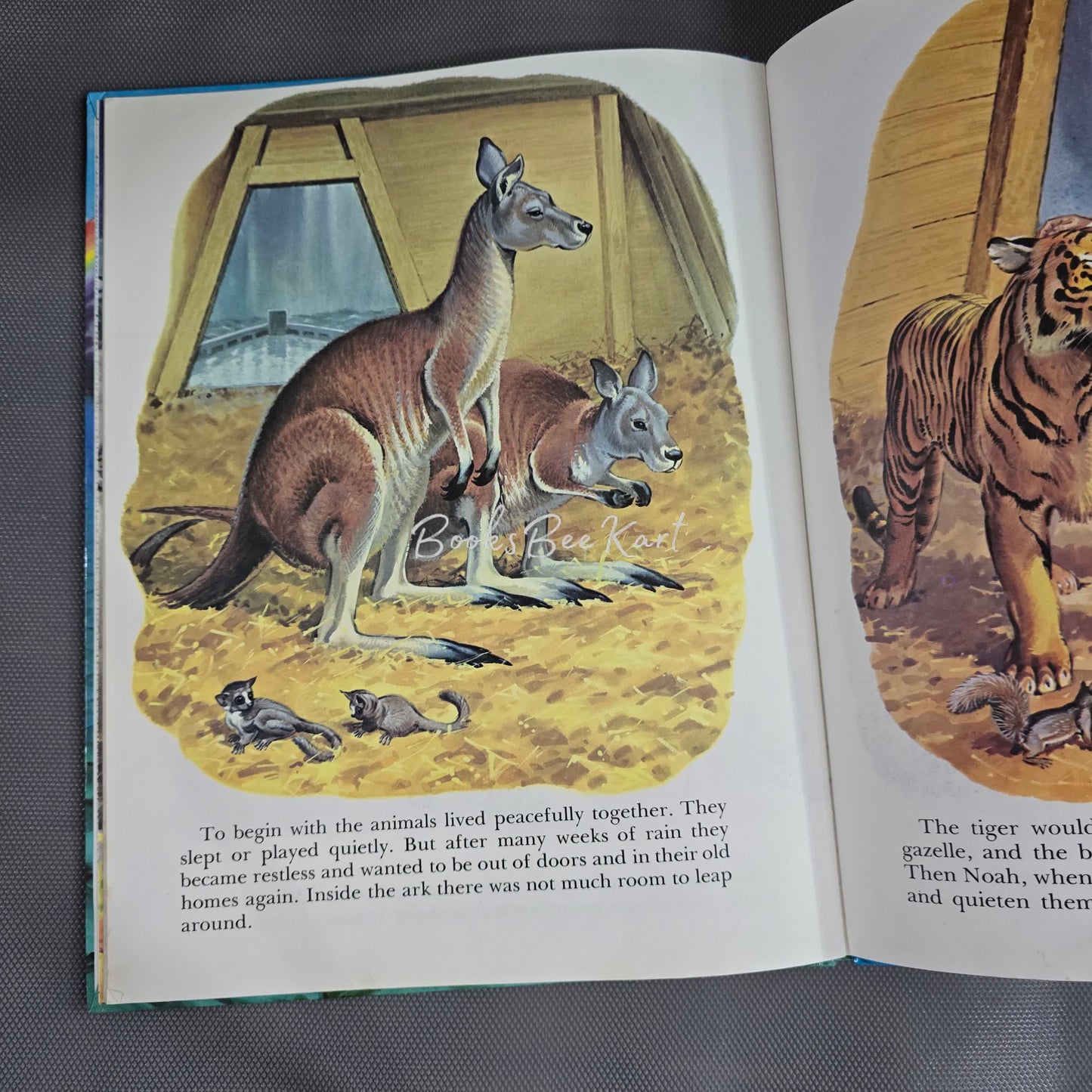 Noah Ark