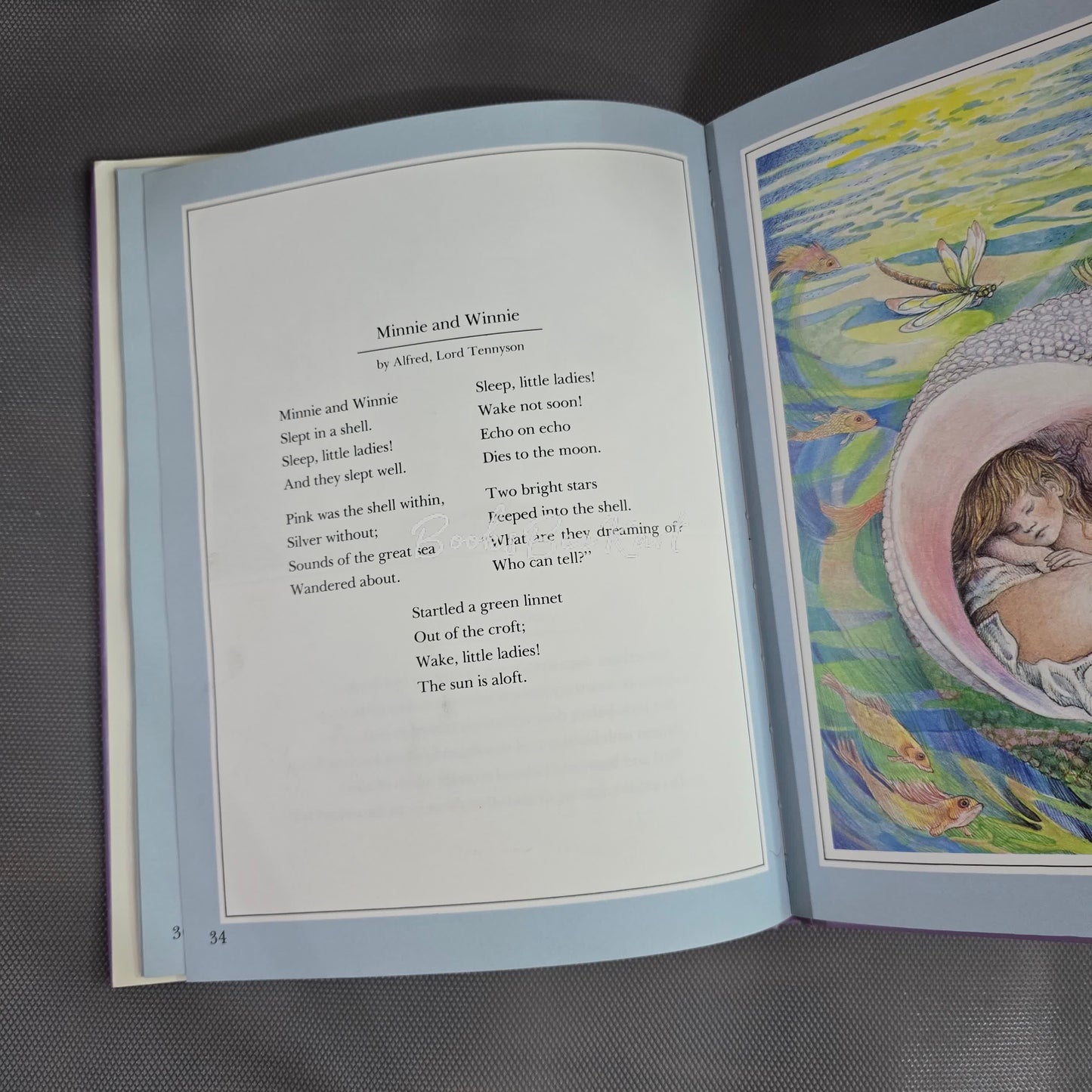 The baby Bedtime Book