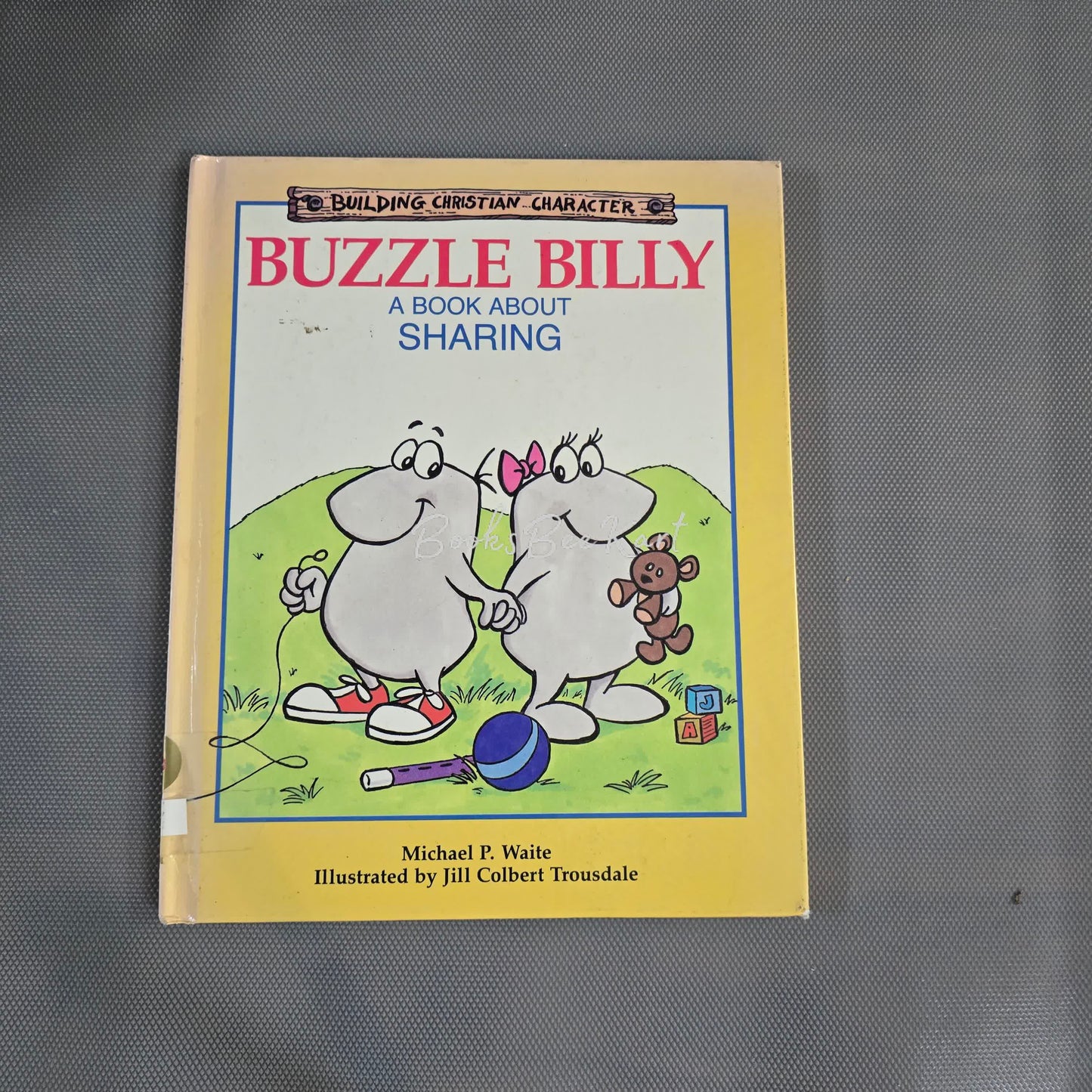 Buzzle Billy a book about Sharing