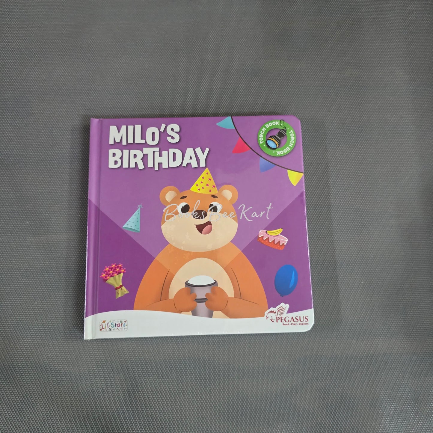 Milo's Birthday Torch Light