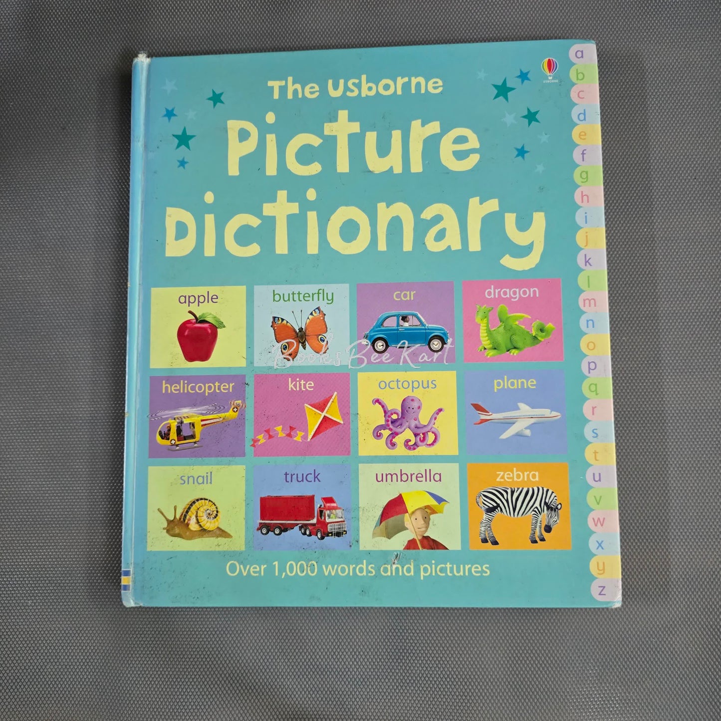 Usborne Picture Dictionary