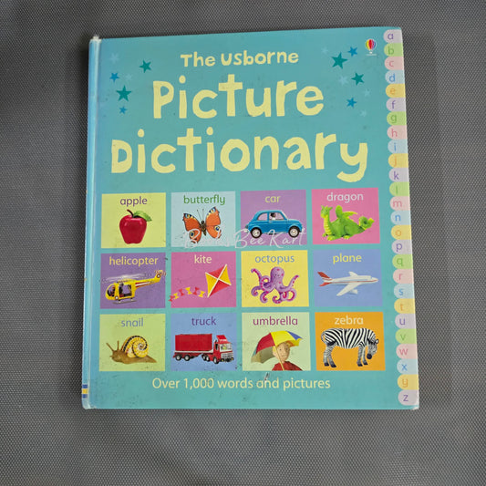 Usborne Picture Dictionary