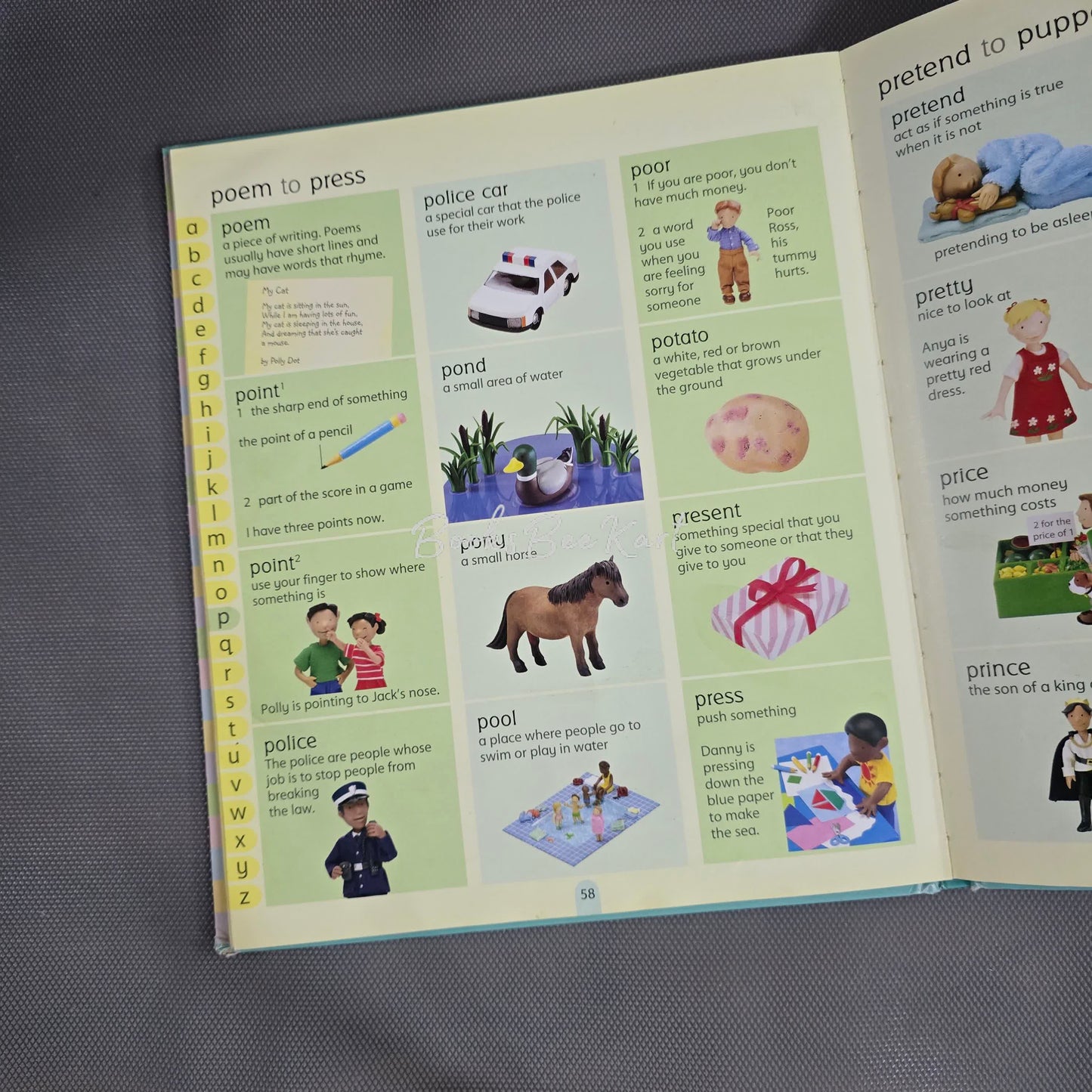 Usborne Picture Dictionary