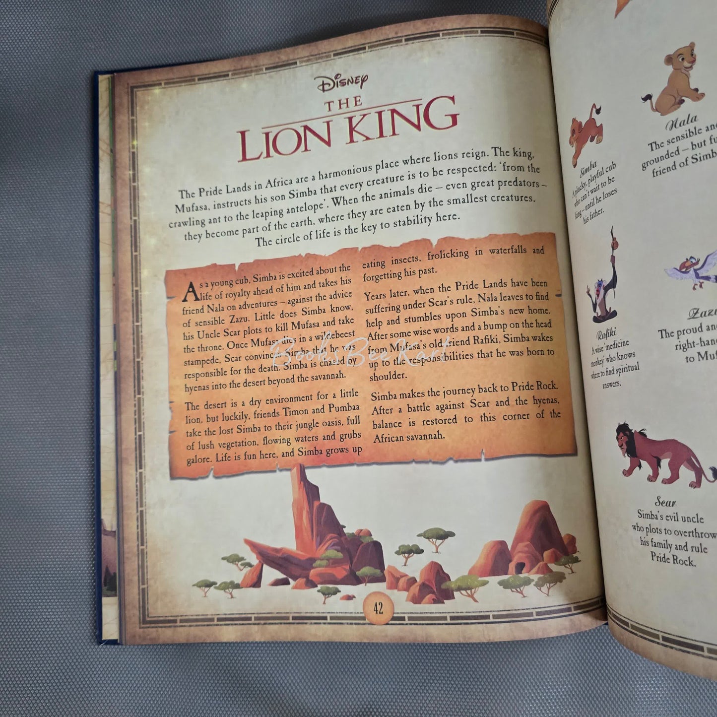 Disnye Book of Maps