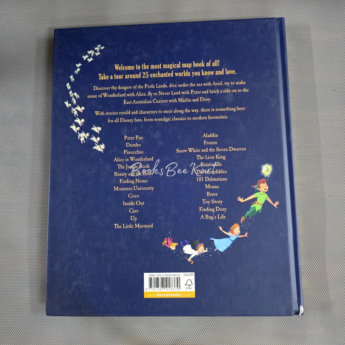 Disnye Book of Maps