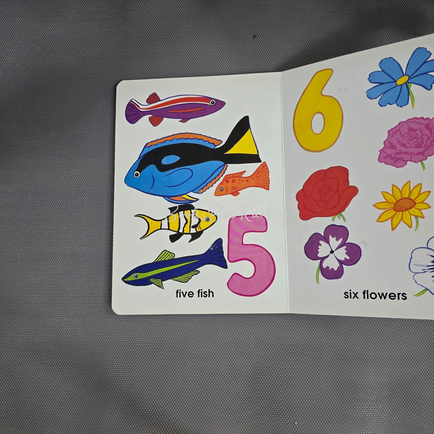 123