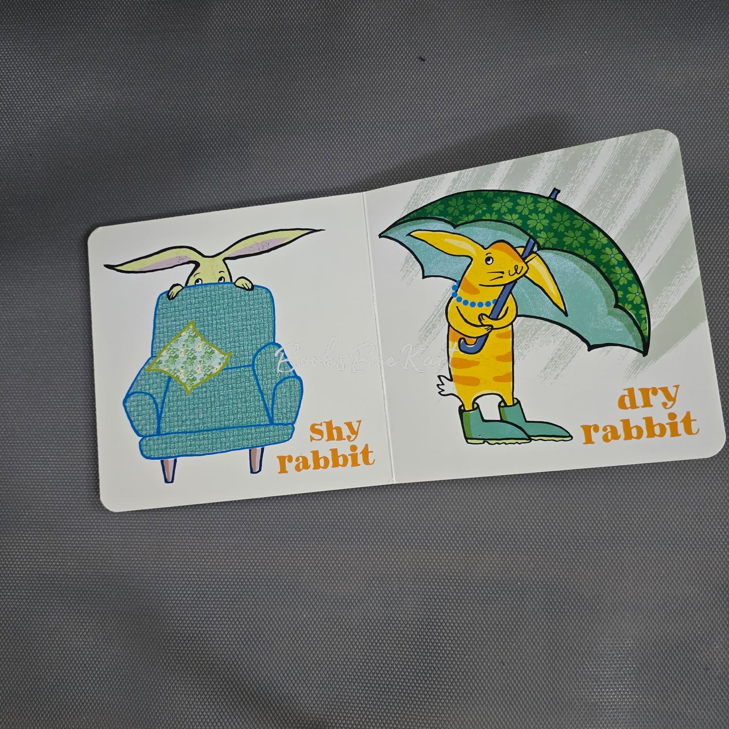 This rabbit that rabbit