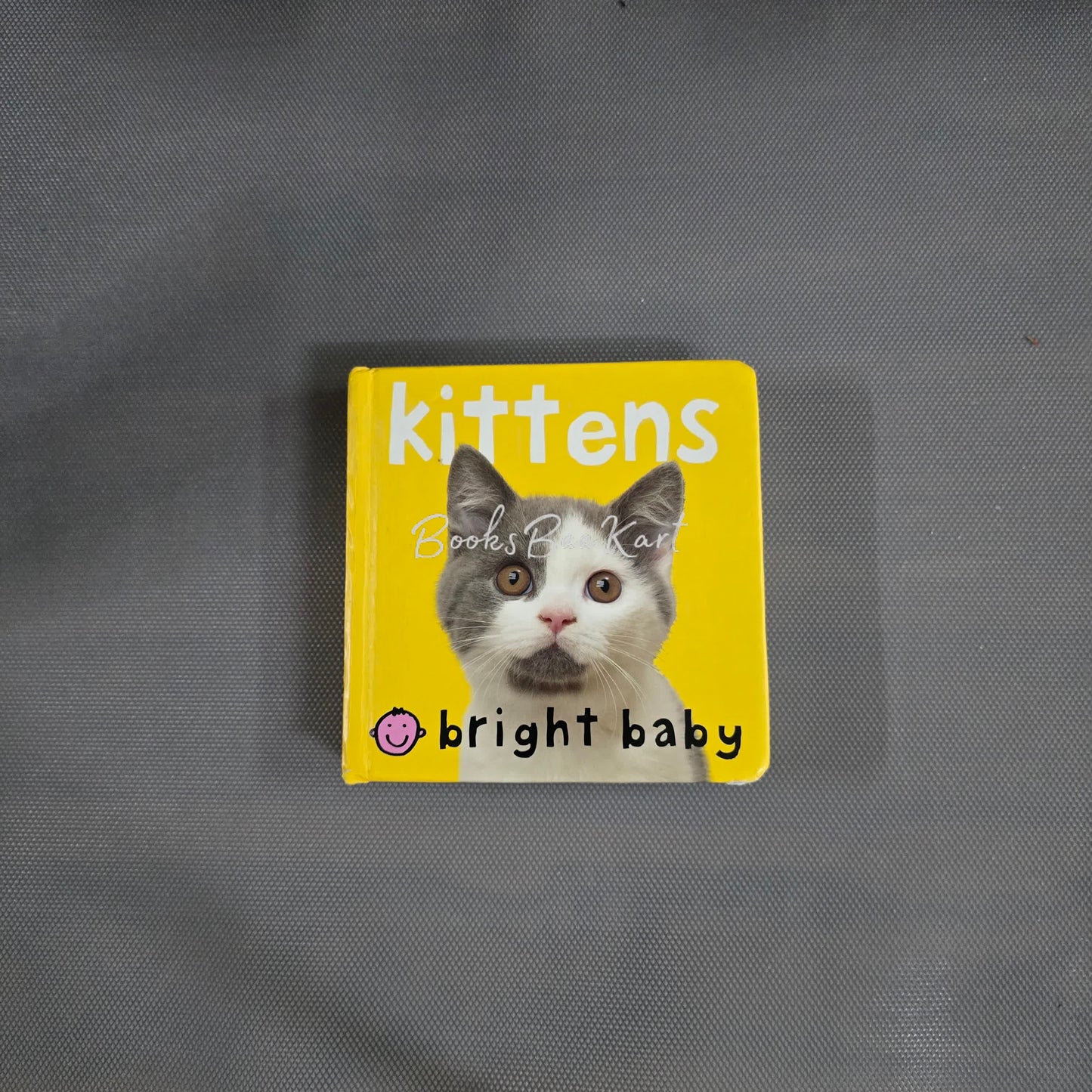 Kittens
