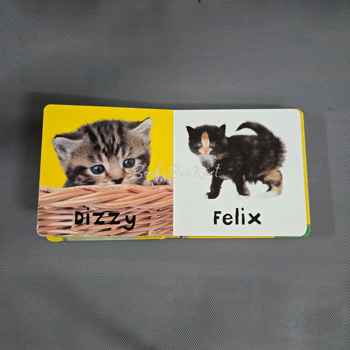 Kittens