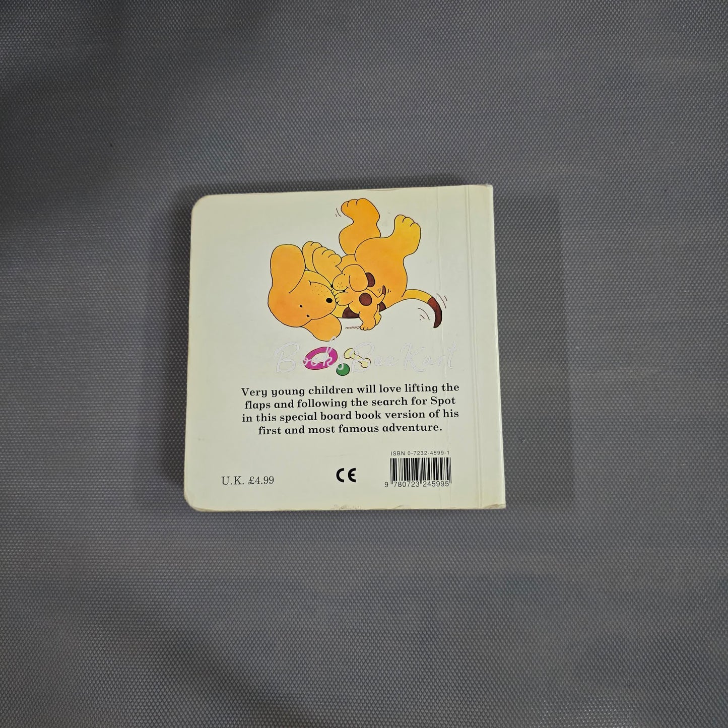 Where's Spot? Flap Book