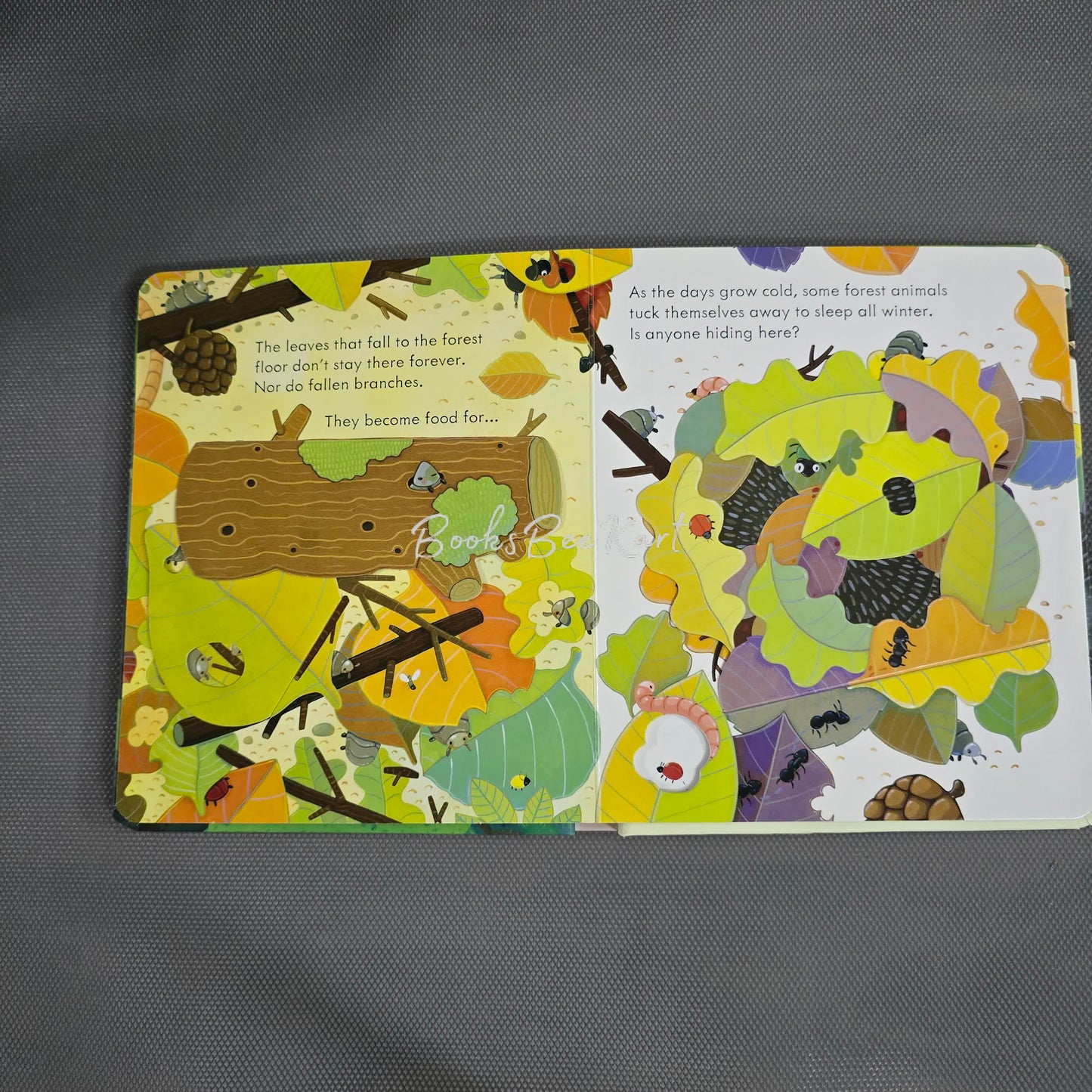 Usborne Peep Inside the Forest