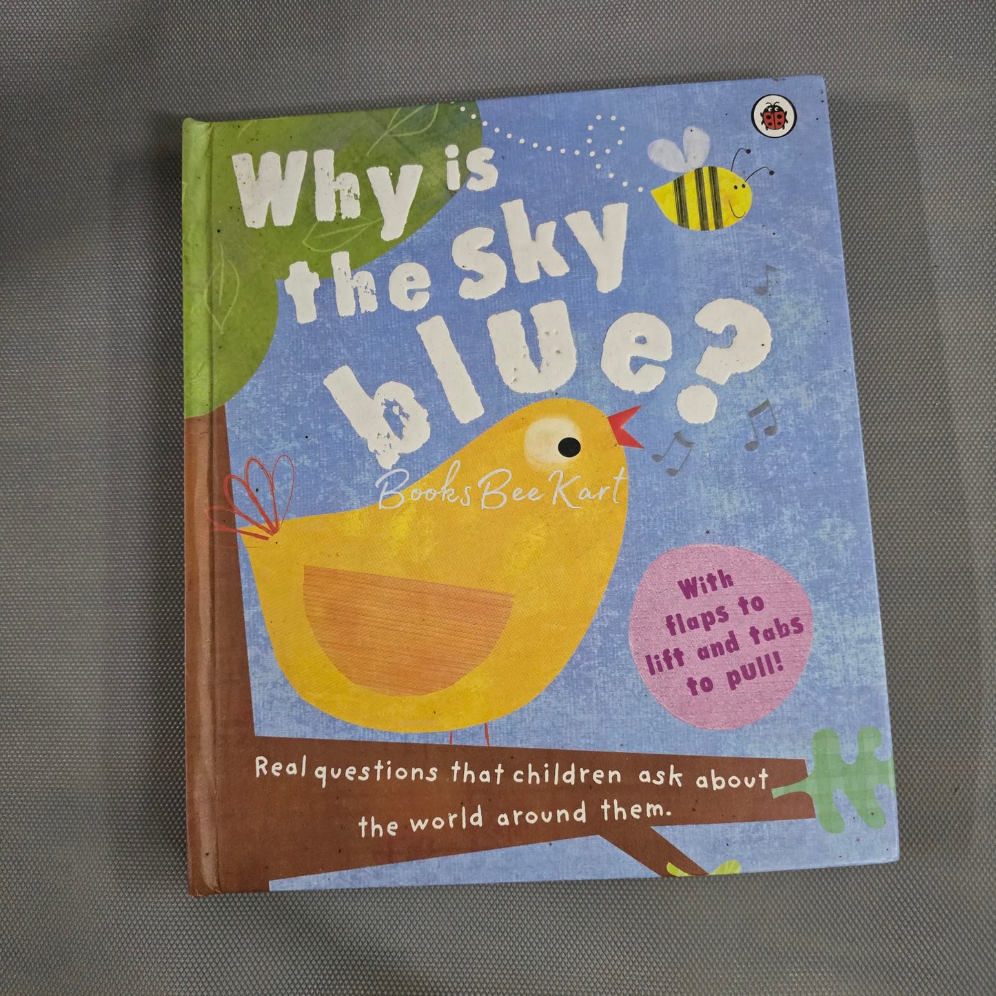 Why is the Sky Blue Flap Book