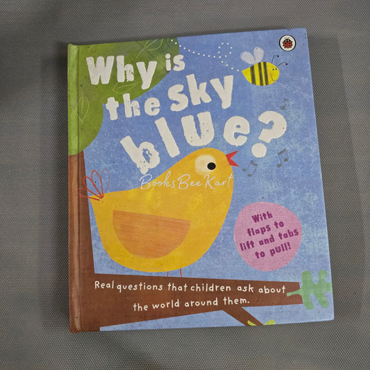 Why is the Sky Blue Flap Book