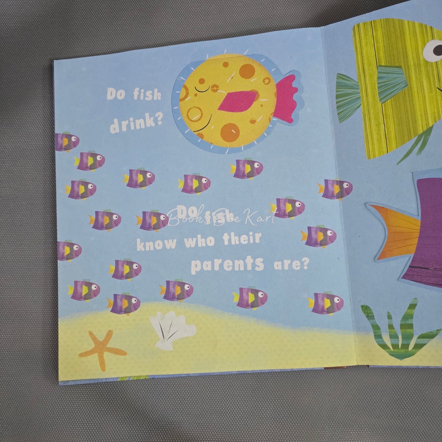 Why is the Sky Blue Flap Book