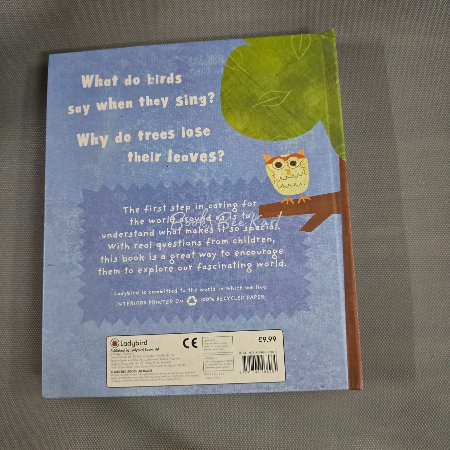 Why is the Sky Blue Flap Book