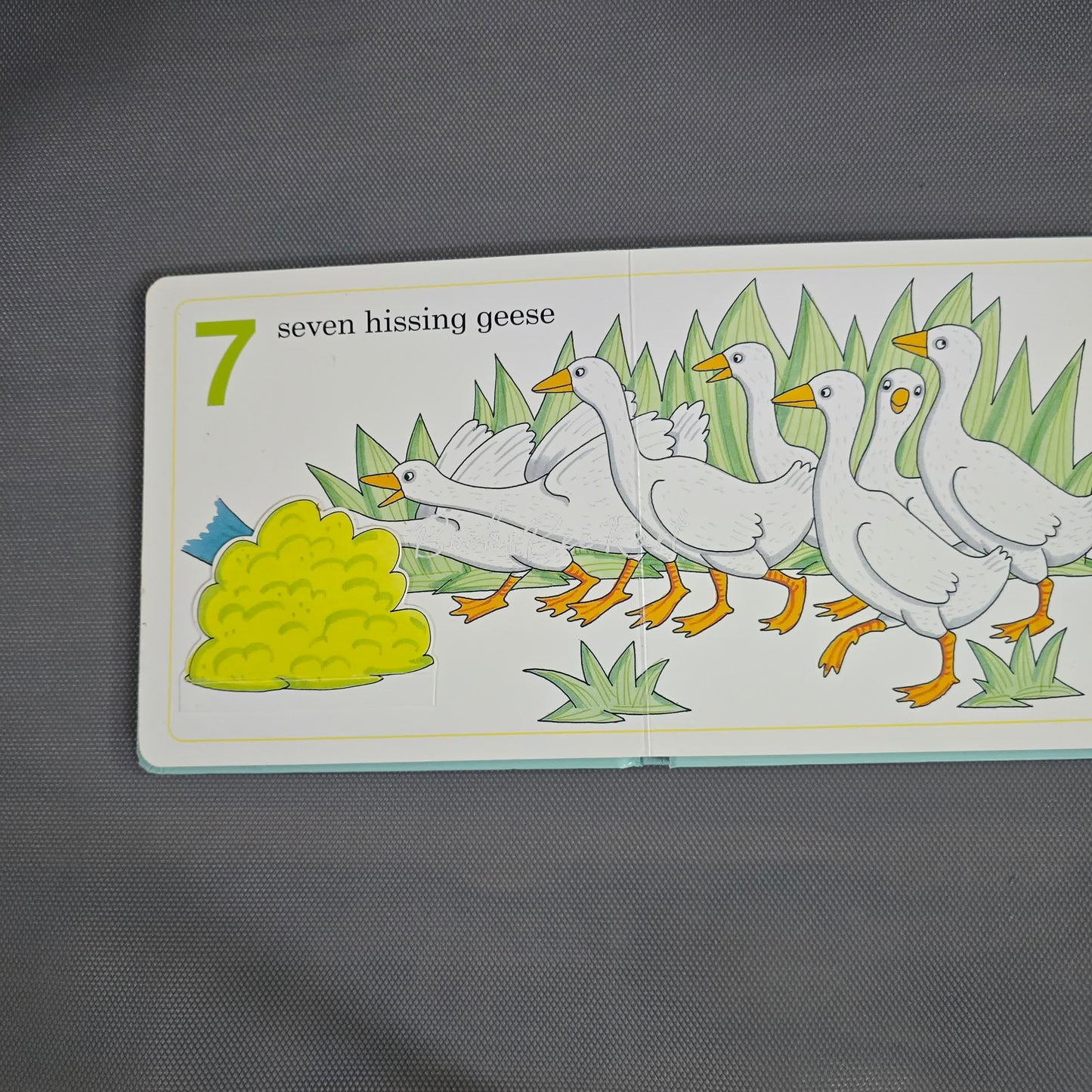 Farm123 Flap Book