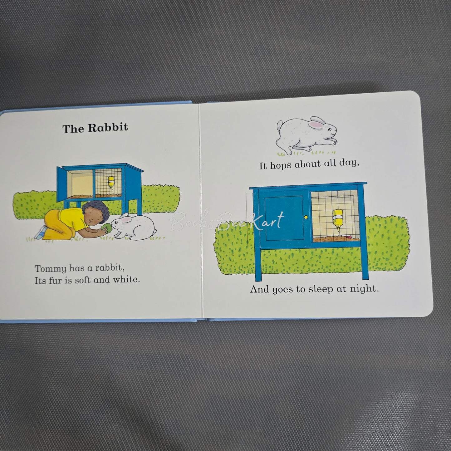 Animal Rhymes - Flap Book