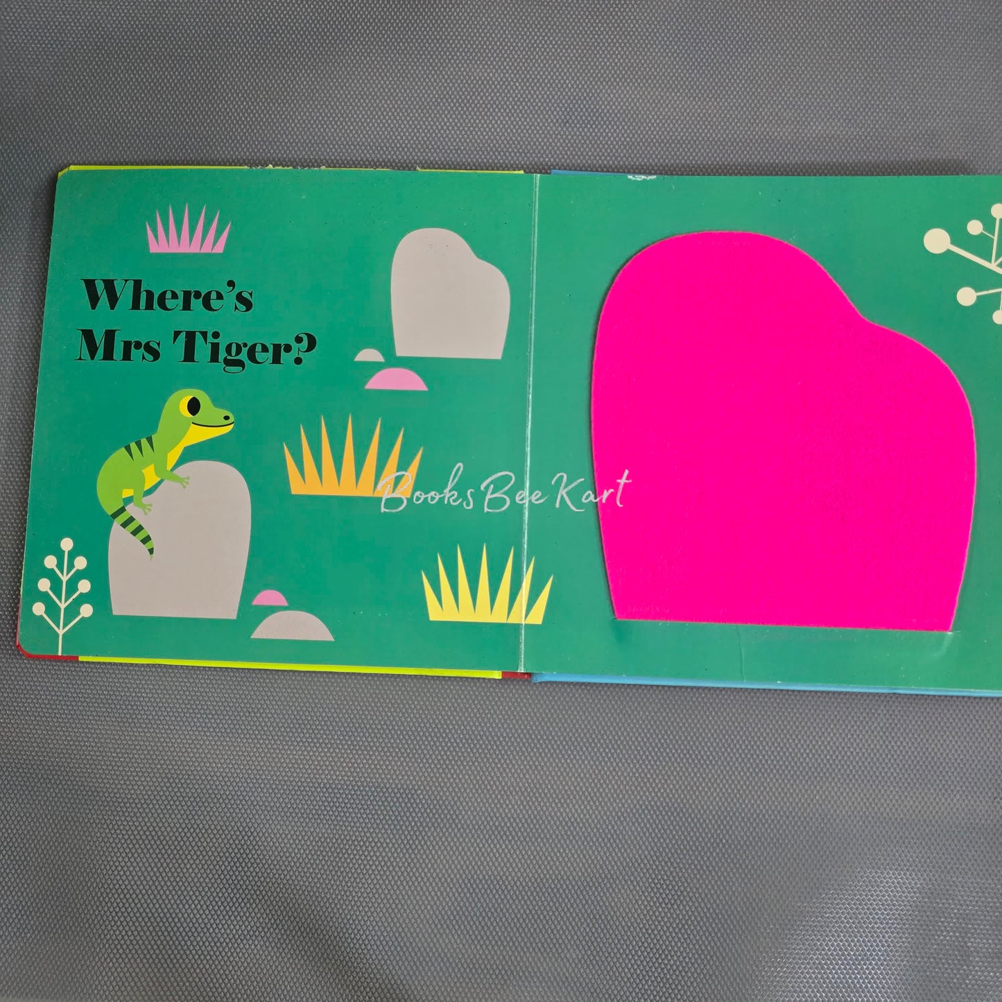 Where's Mr Tiger Flap Book
