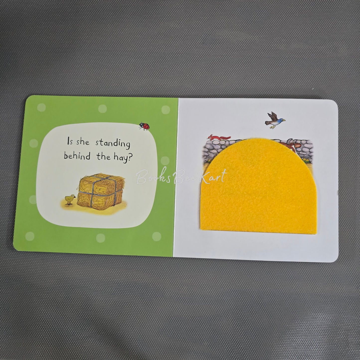 Who's Hiding on the Farm? Flap Book