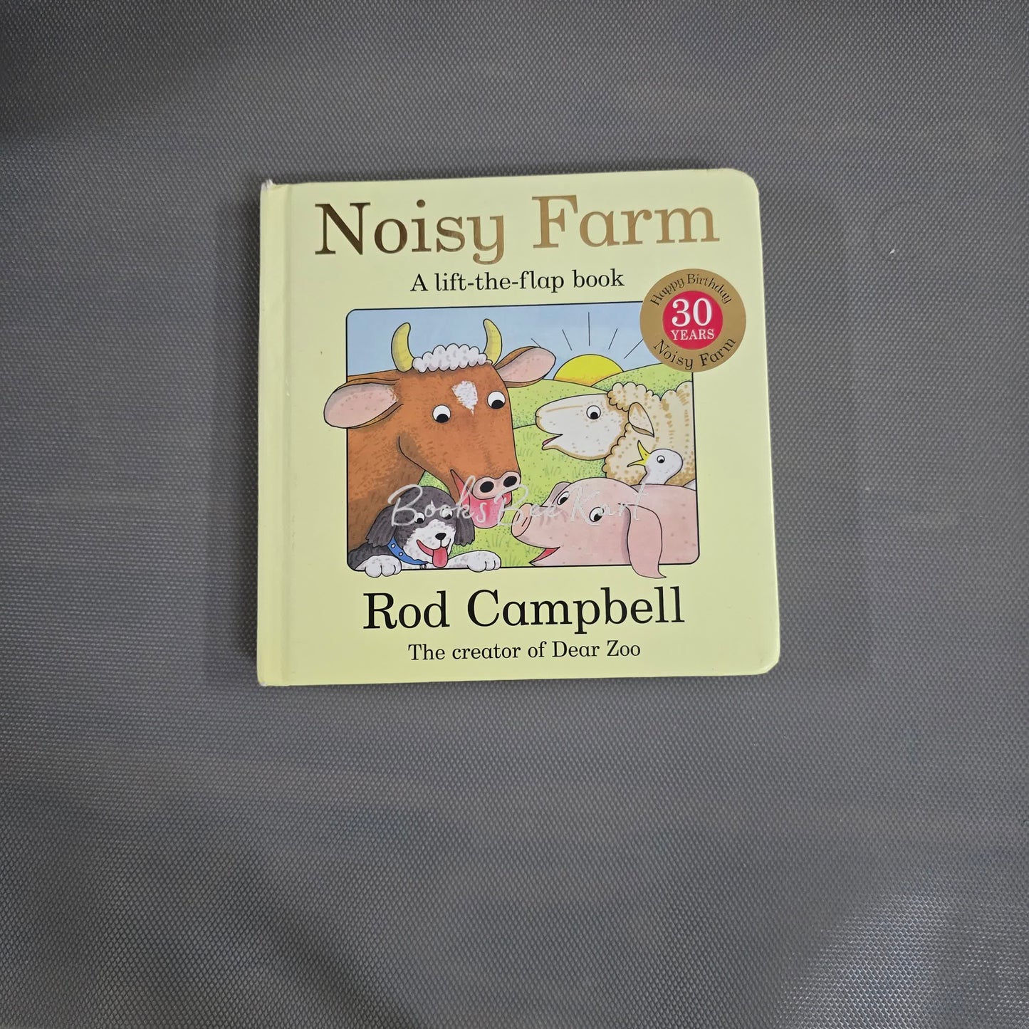 Noisy Farm Flap Book