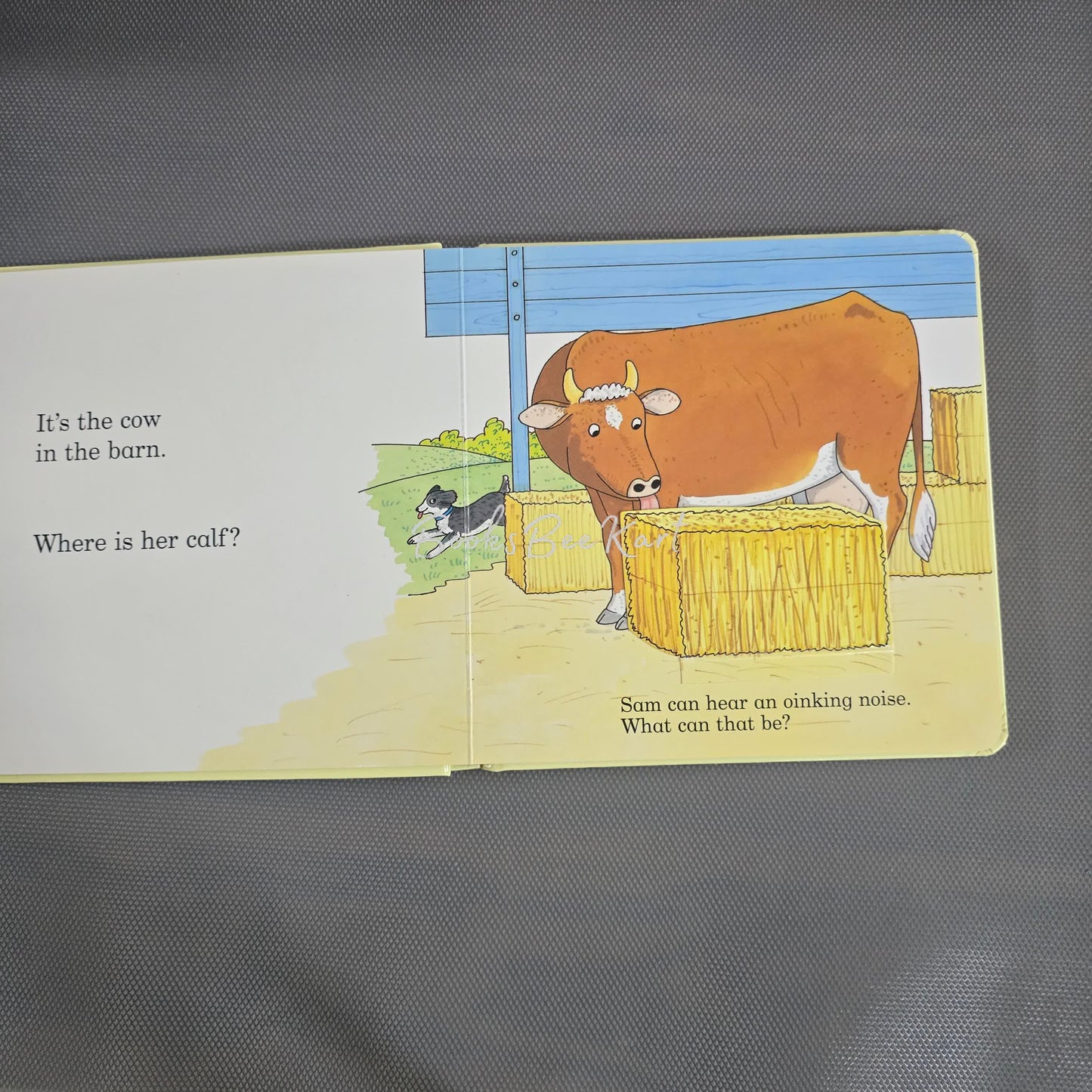 Noisy Farm Flap Book