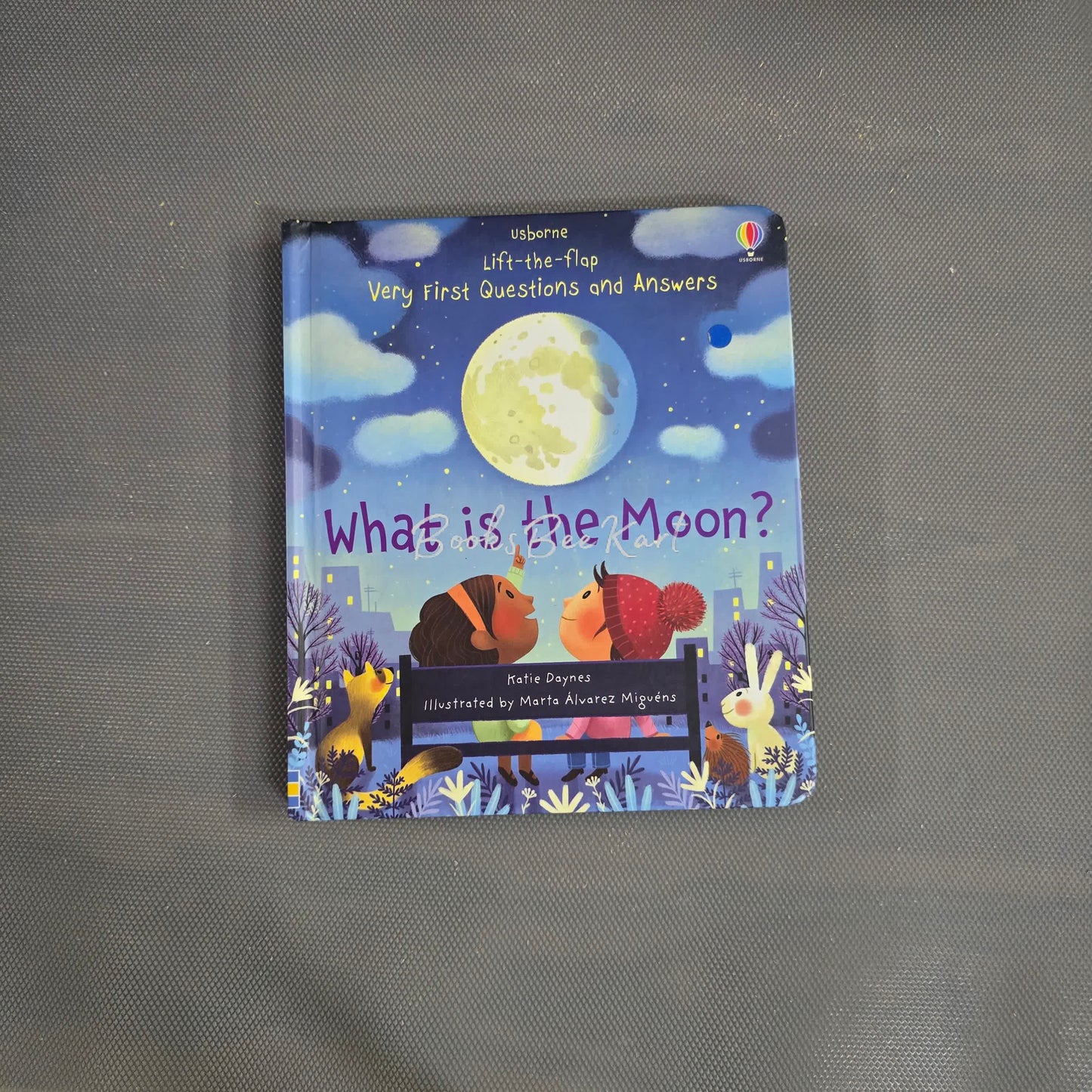 Usborne What is the Moon? Flap Book