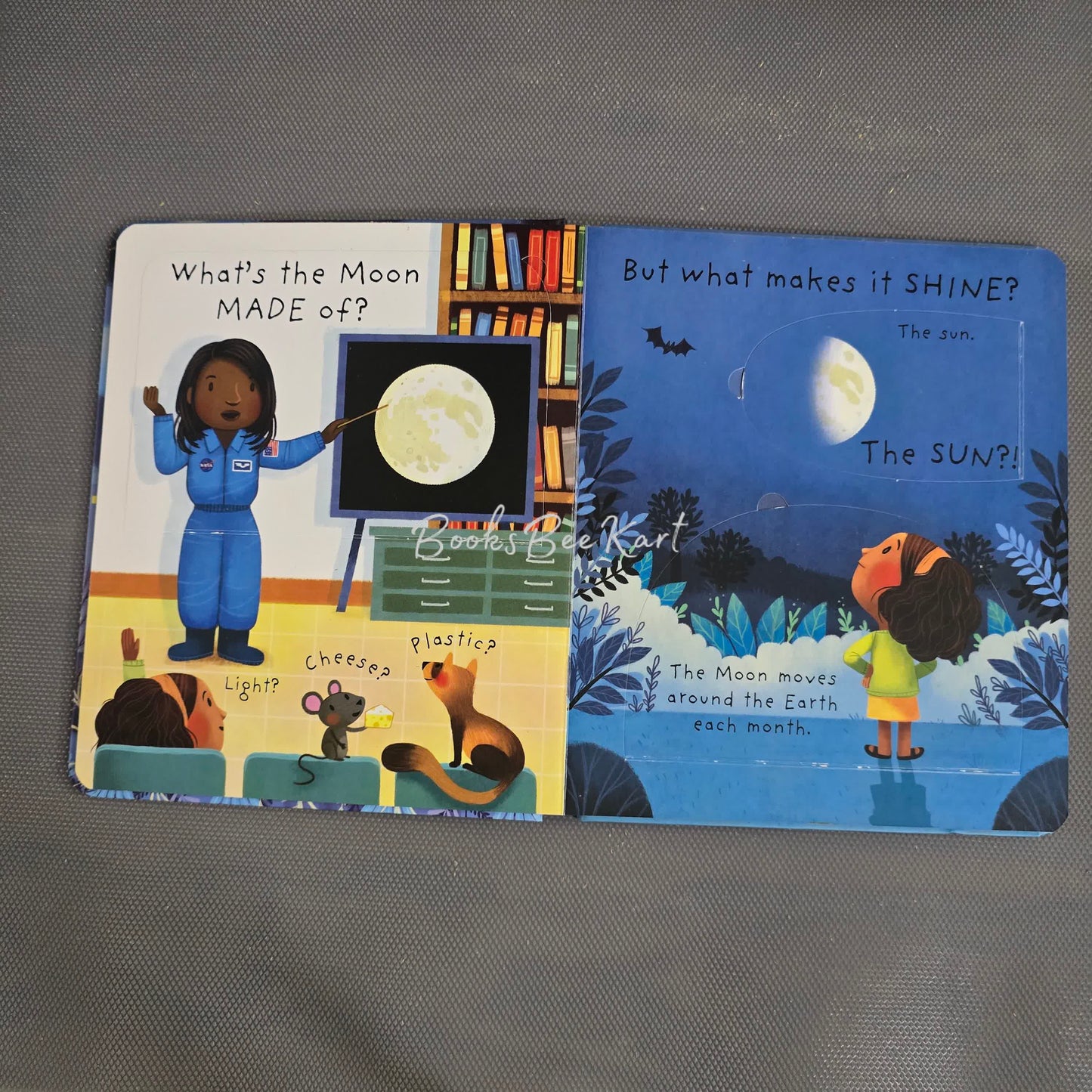 Usborne What is the Moon? Flap Book