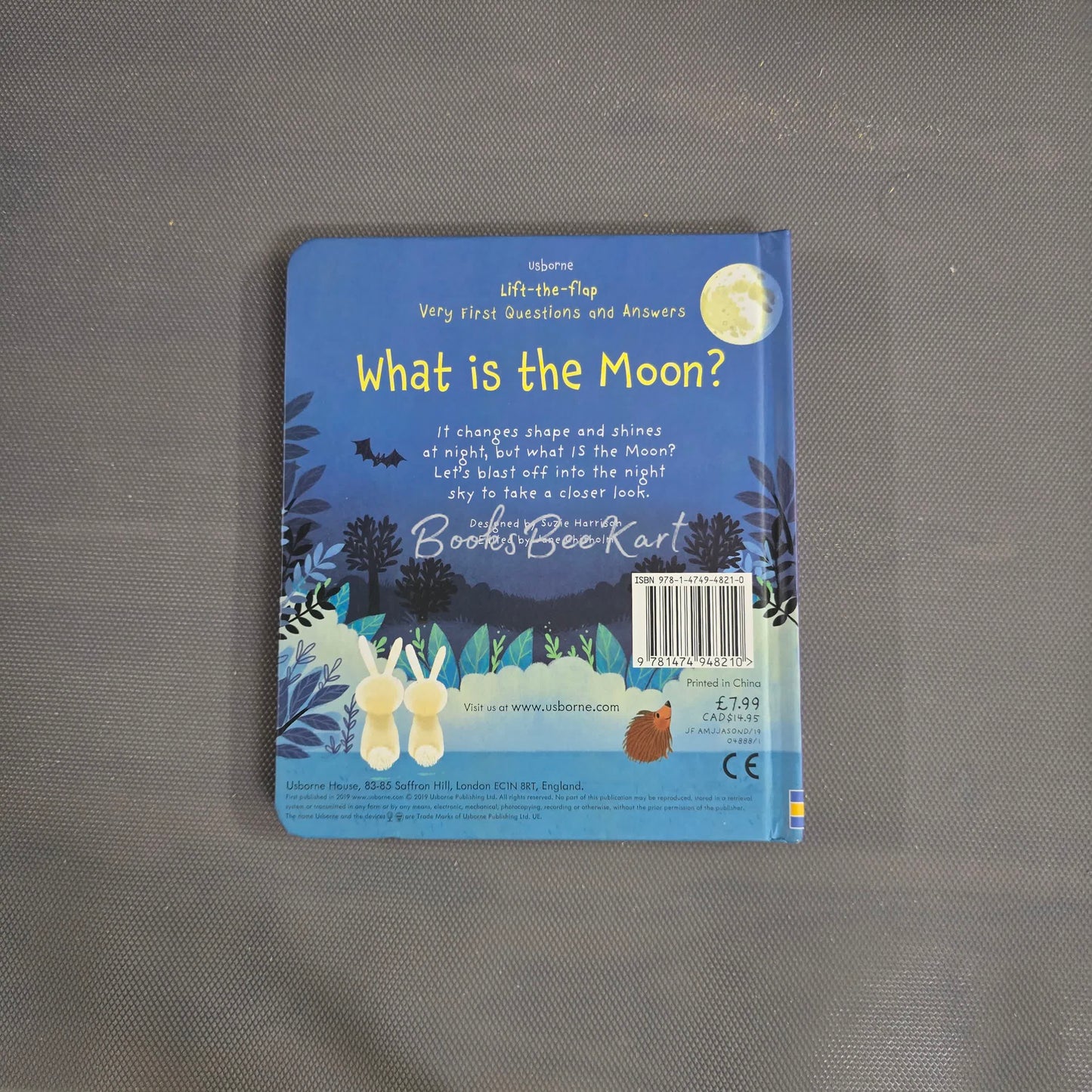 Usborne What is the Moon? Flap Book