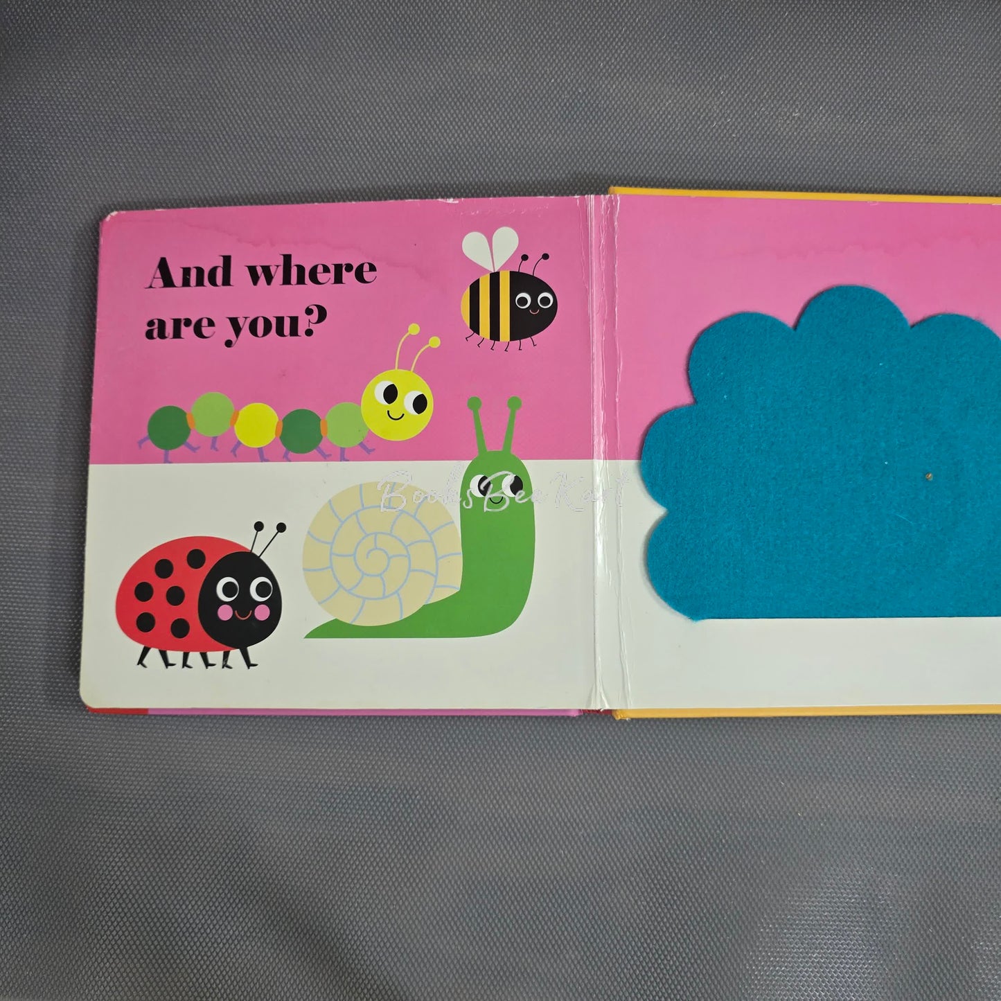 Where's Mrs Ladybird? Flap book