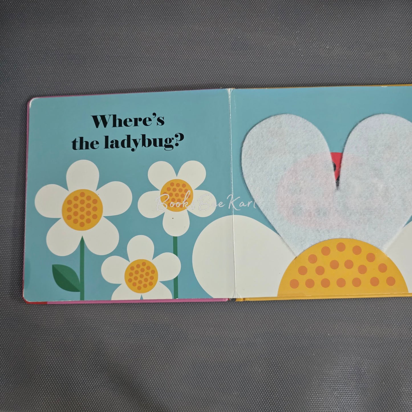 Where's the Ladybug? Flap Book