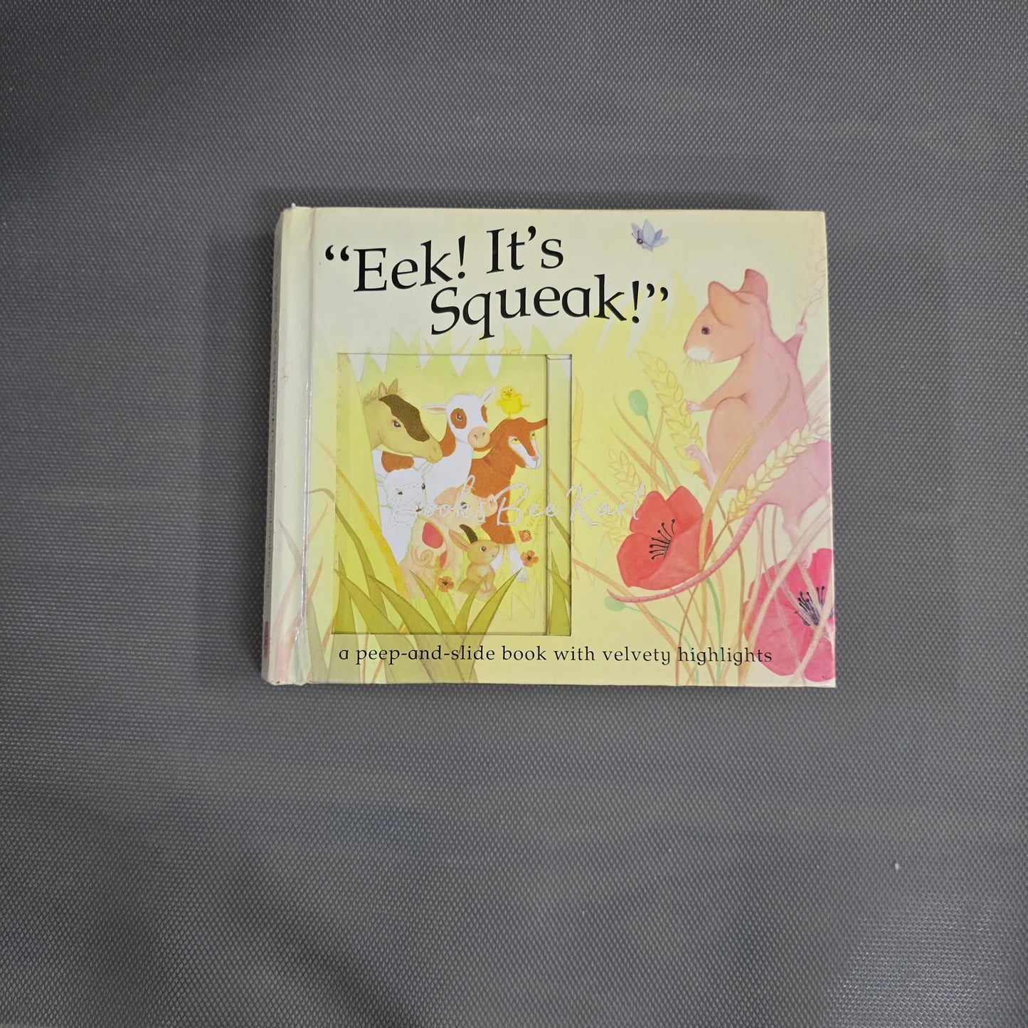 Eek! It's Squeak! Slide Book