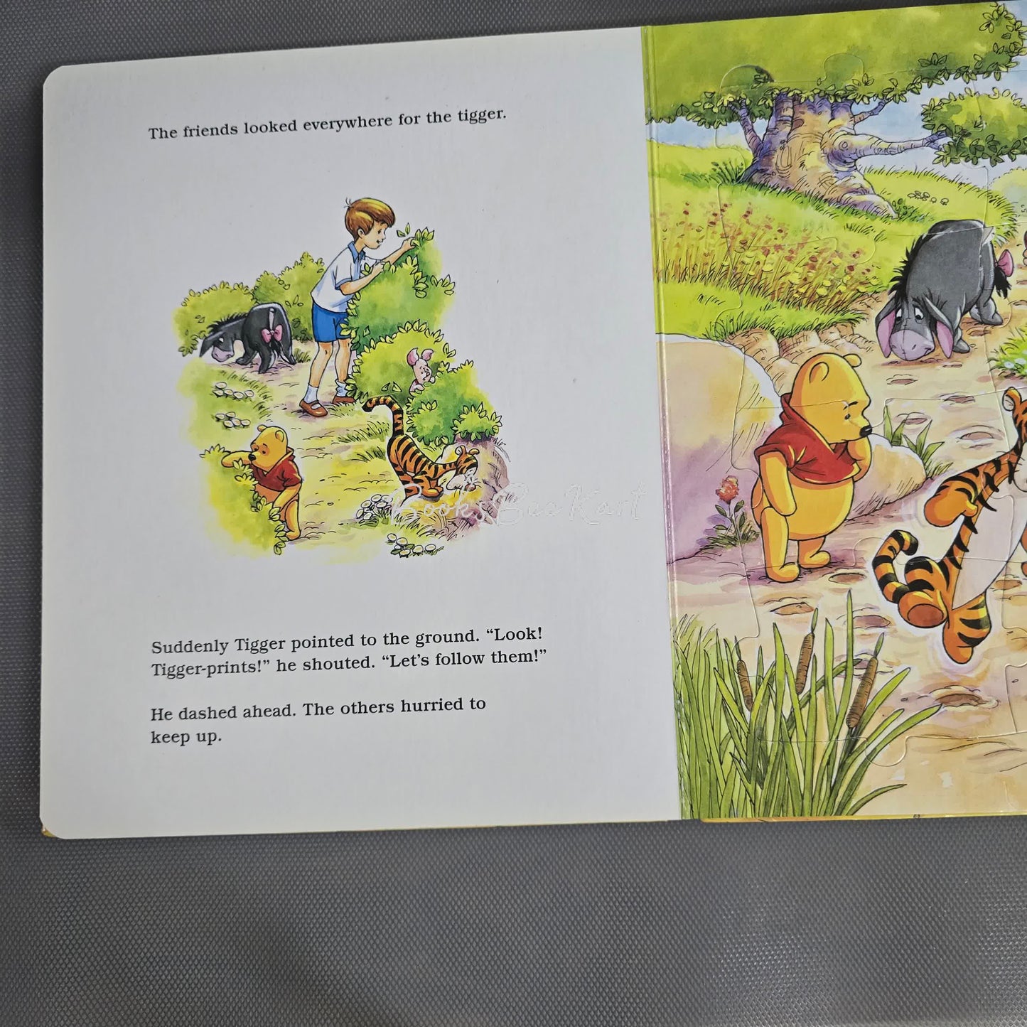 A Tale of Two Tigers - Puzzle Book