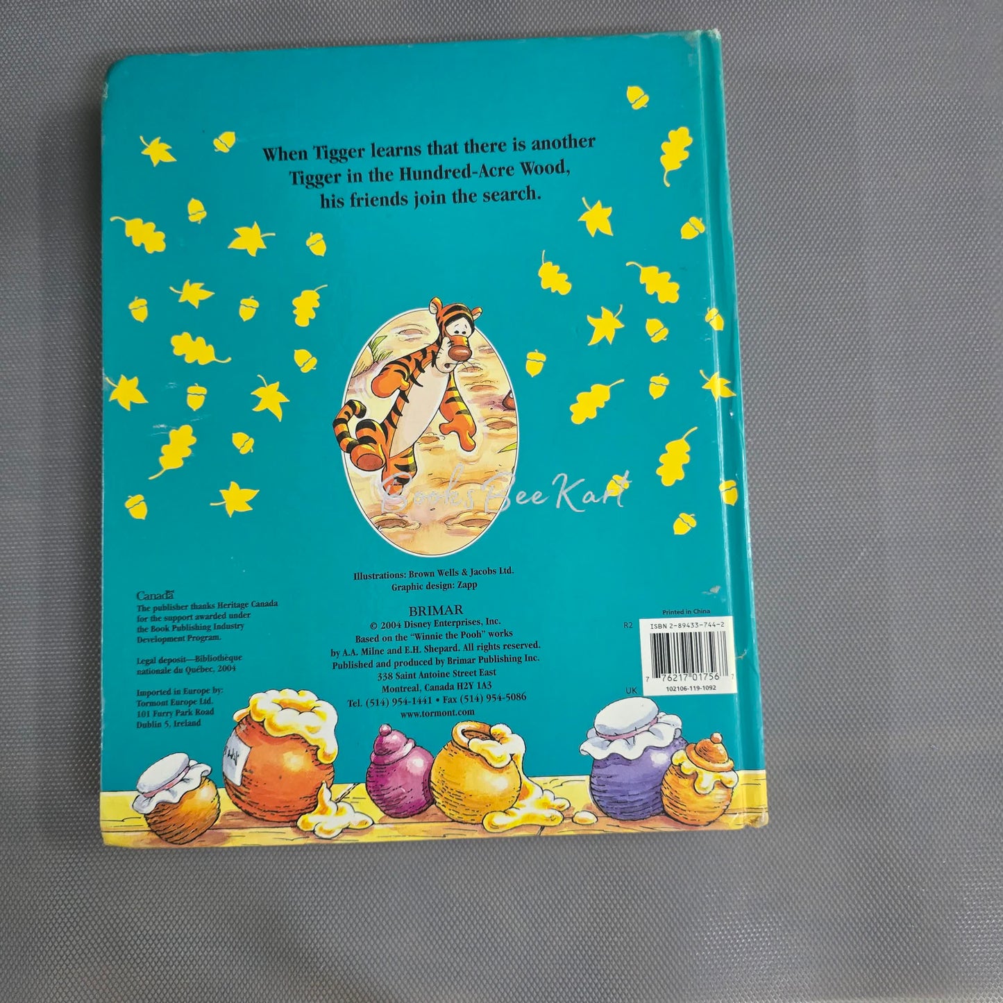 A Tale of Two Tigers - Puzzle Book