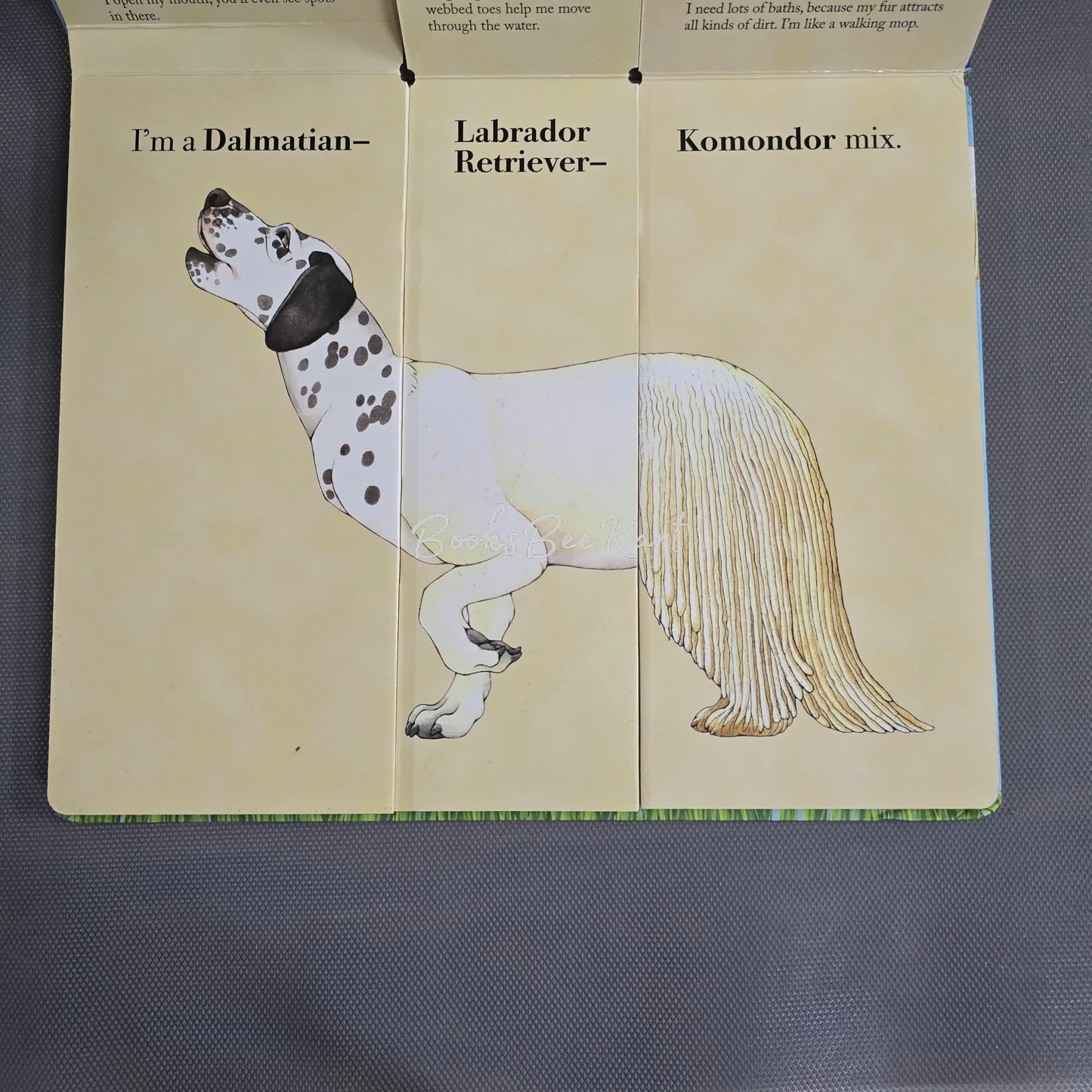 Mix a Mutt - Mix and Match Book