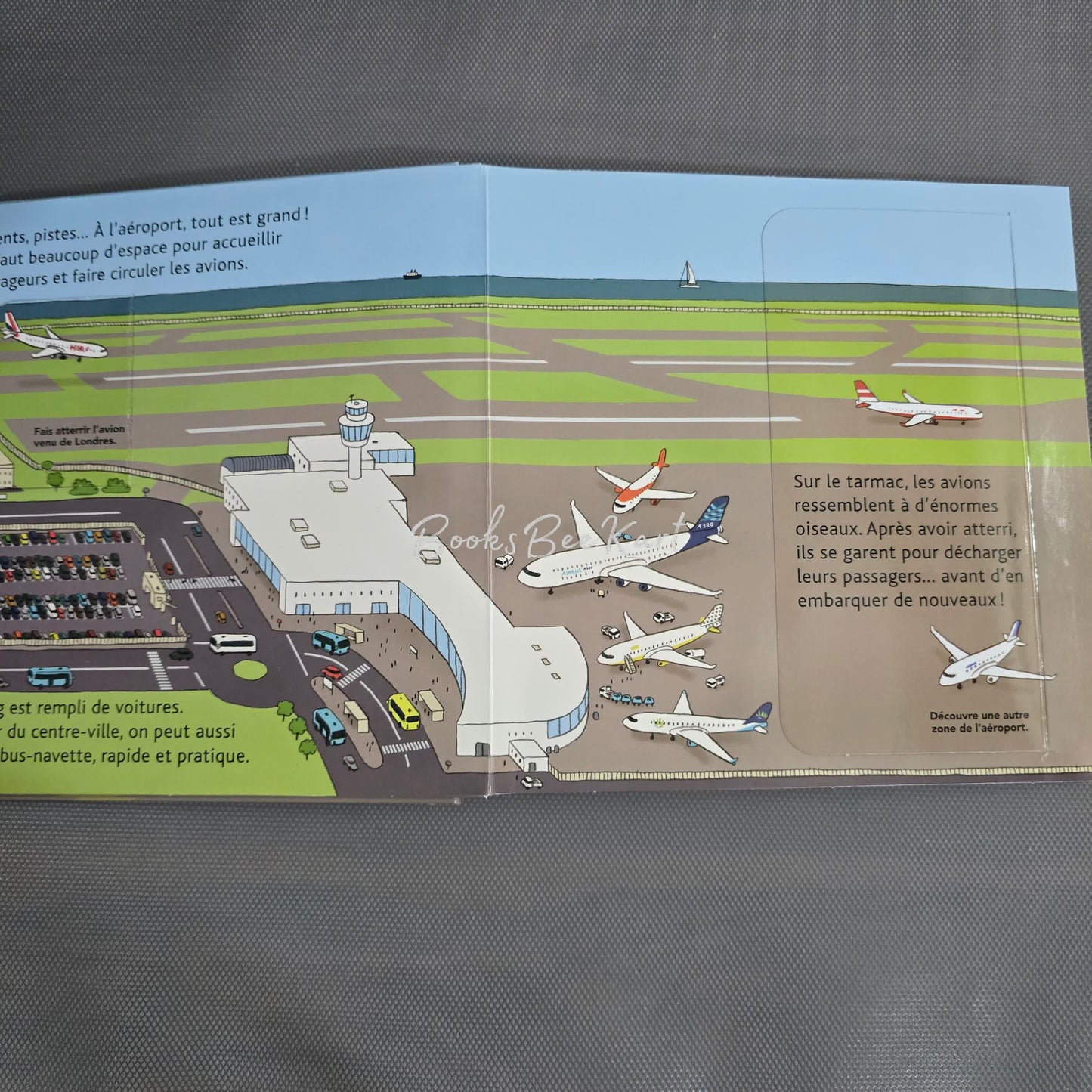 En Avian Changing book